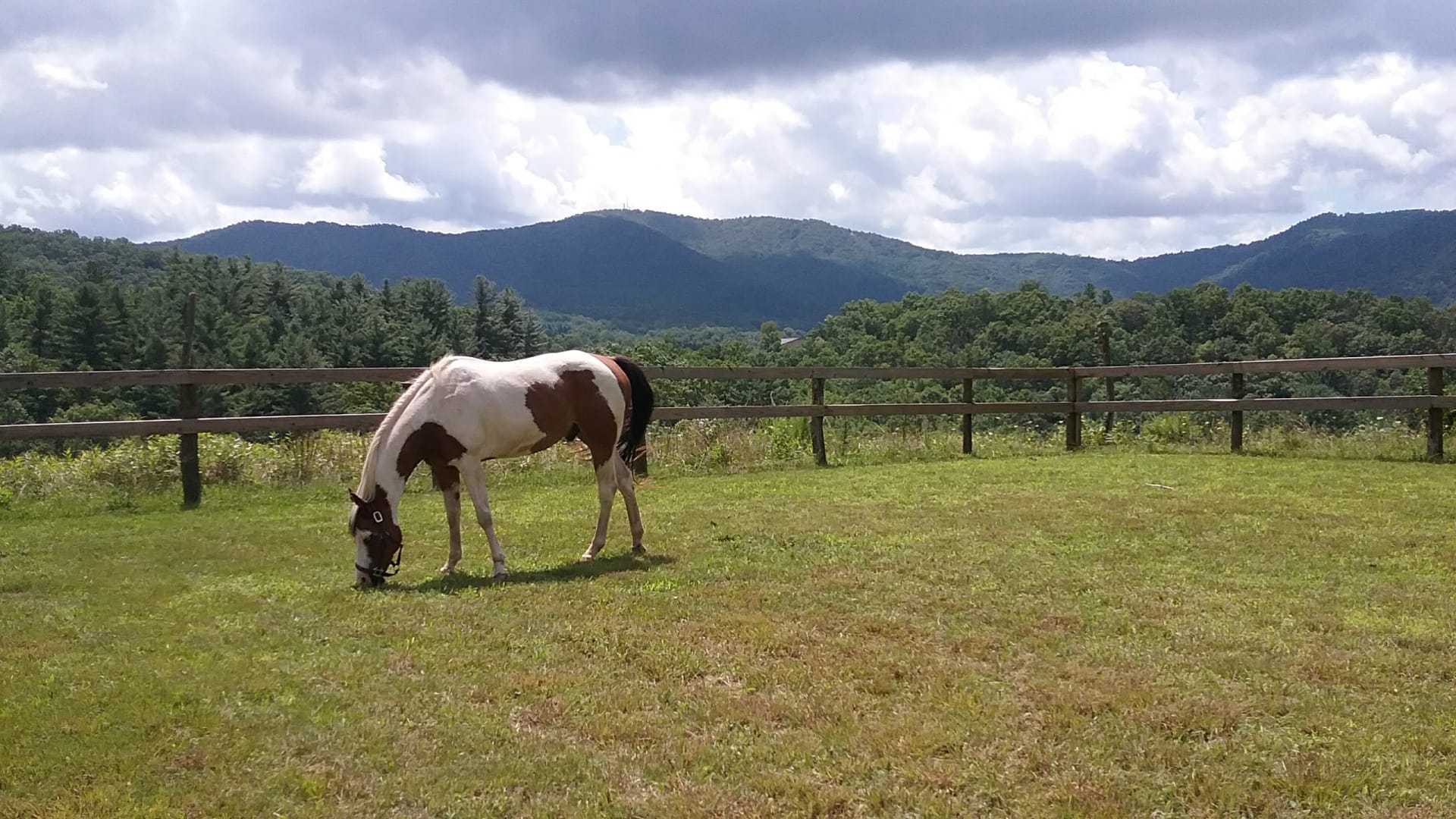 Enjoy long range mountain views from the horseback riding arena, only a 5 minute walk from the pond.