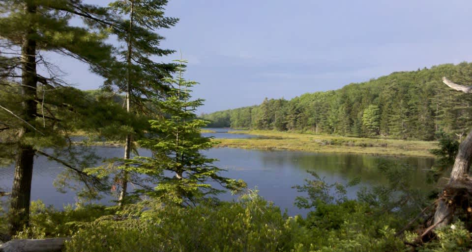 Scenic wilderness feel yet near civilization