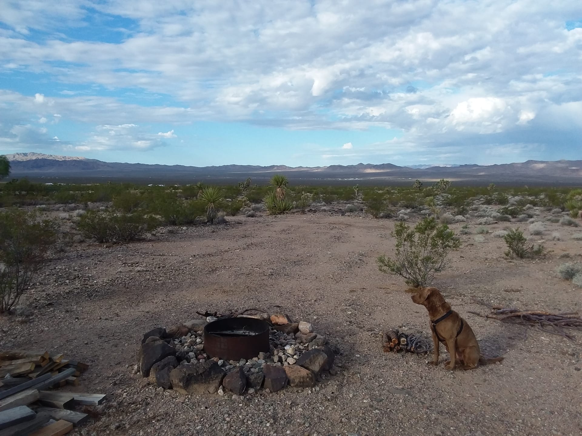 RV Site & fire ring.
