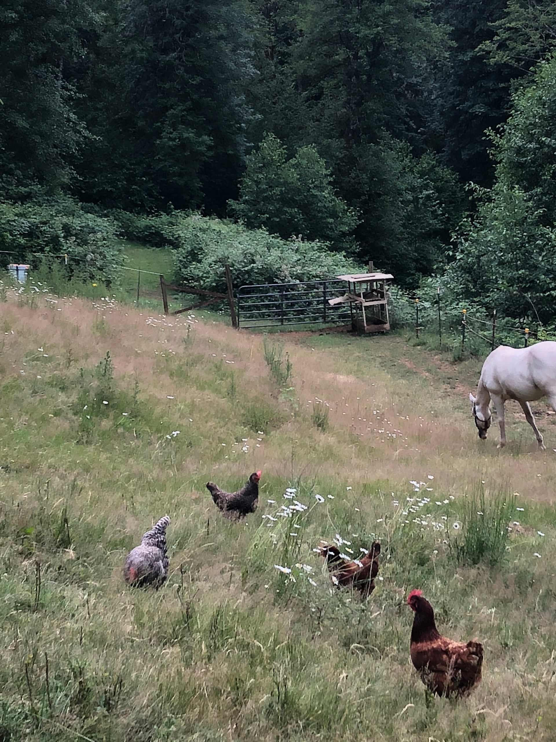 HowellingRoach Homestead - Photo 2