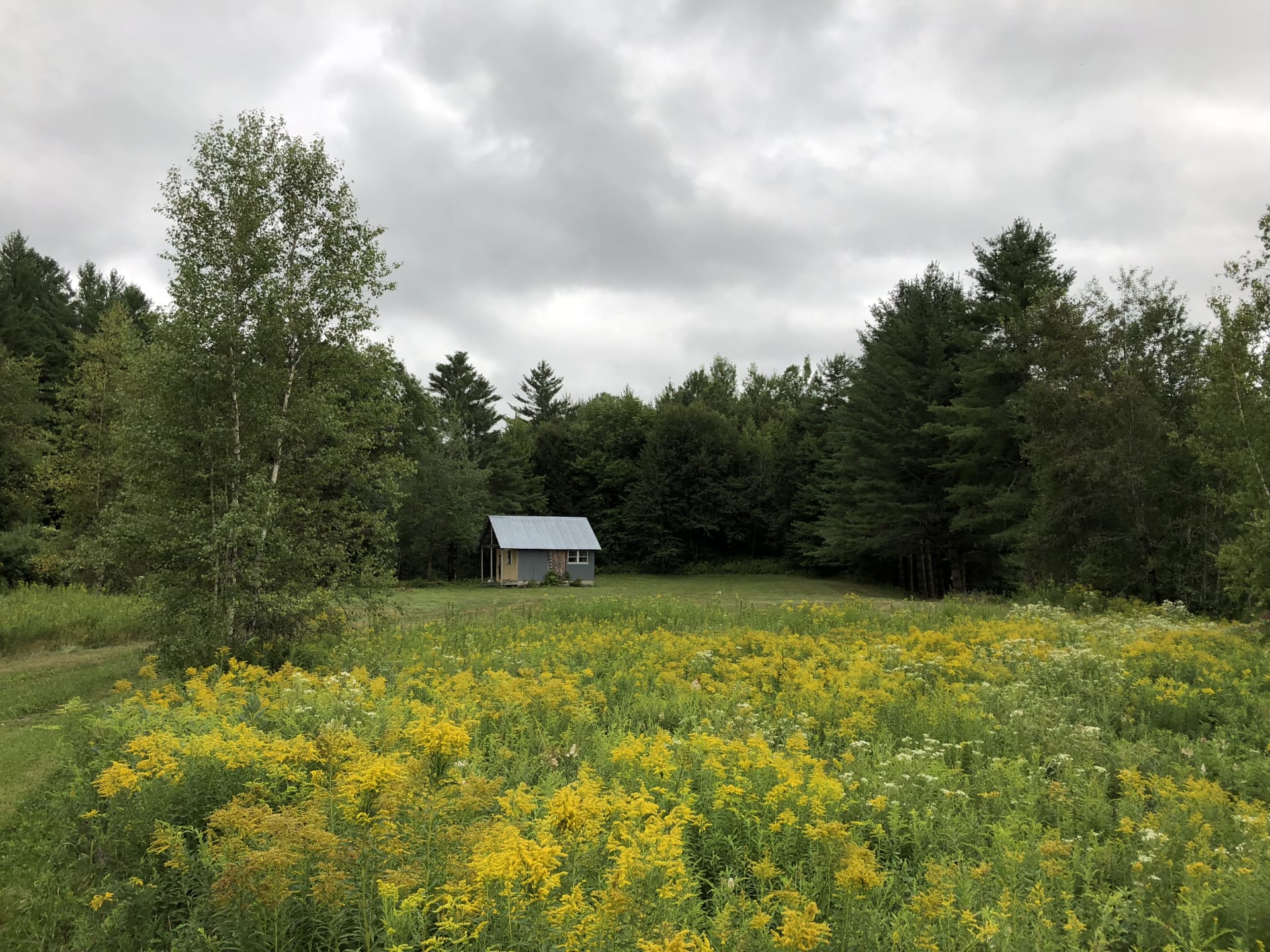 Set in a large field of perennial wildflowers with a large grassy area around the cabin