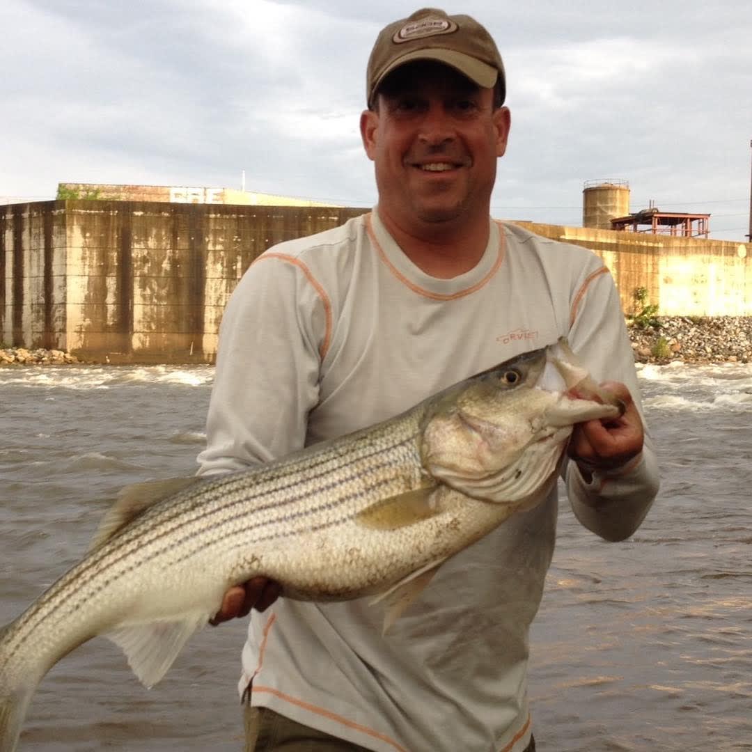Sharp's Island might be the single best shad and striper fishing spot in Richmond...seriously!
