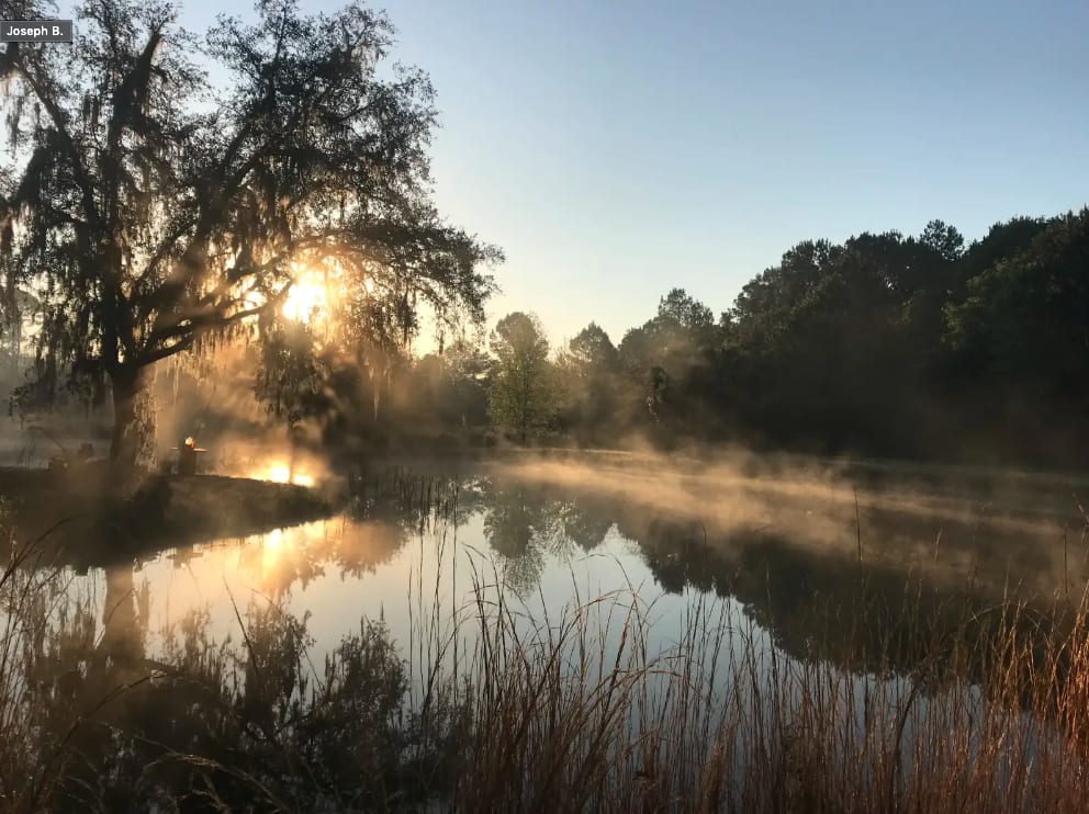Sunrise at Wildflower Pond. 

Winter 2019
