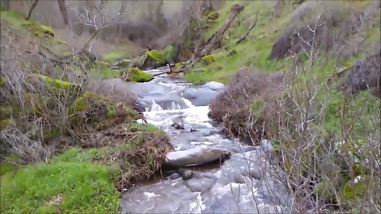 Hike your magical 5 acres of untamed wilderness