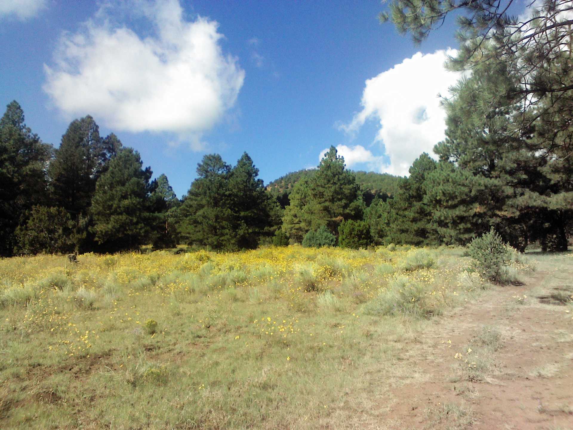 Wifflebird Ranch - Photo 2