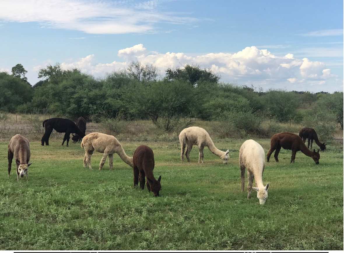 Picture of the Land
