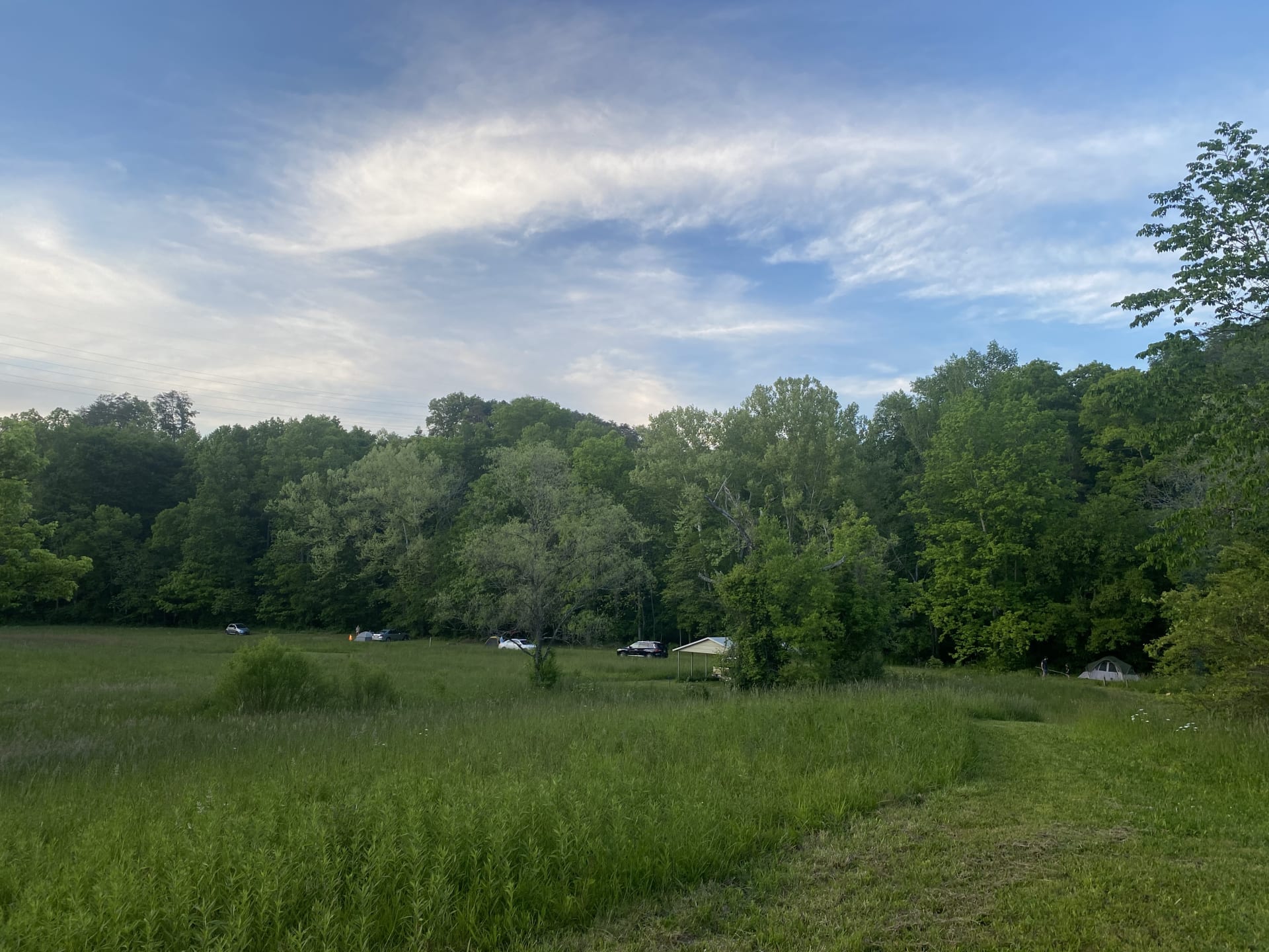 A view of the meadow and the creekside spots in the tree line.