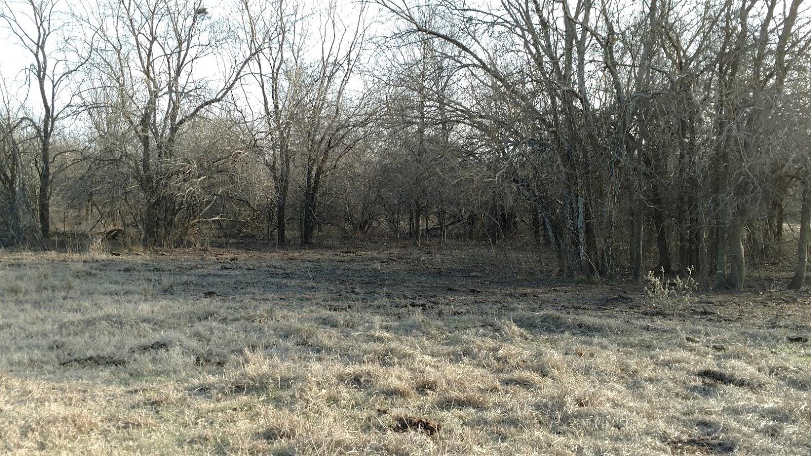 Serenity Camp Sites - Photo 2