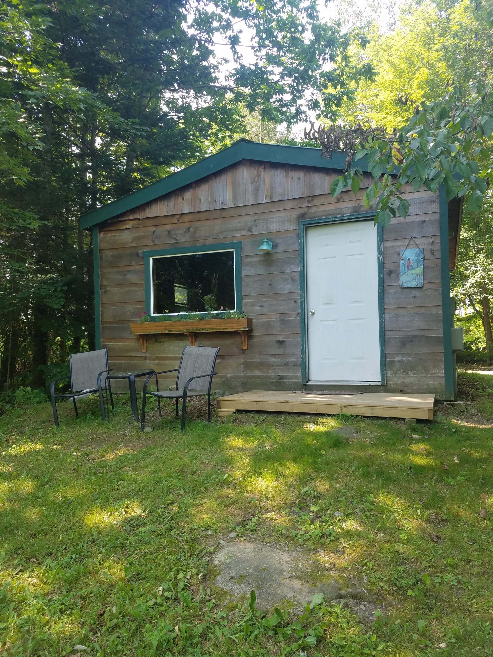 Exterior of The Bear Cabin