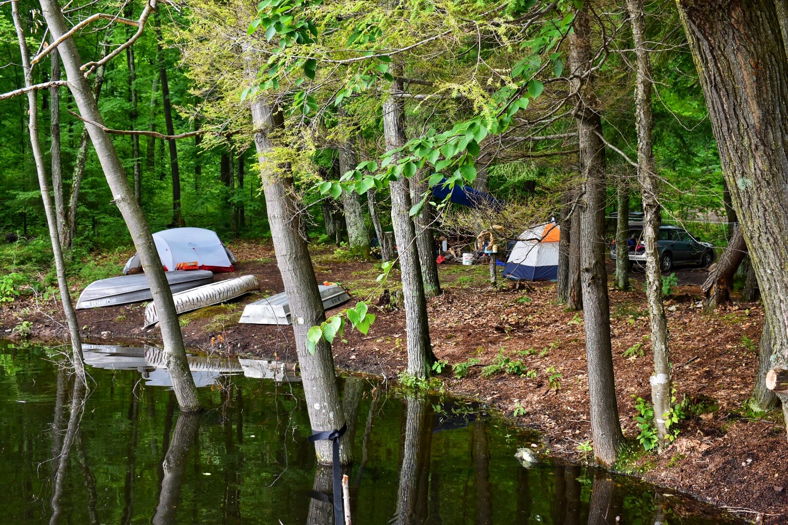 View of the campsite from the dock