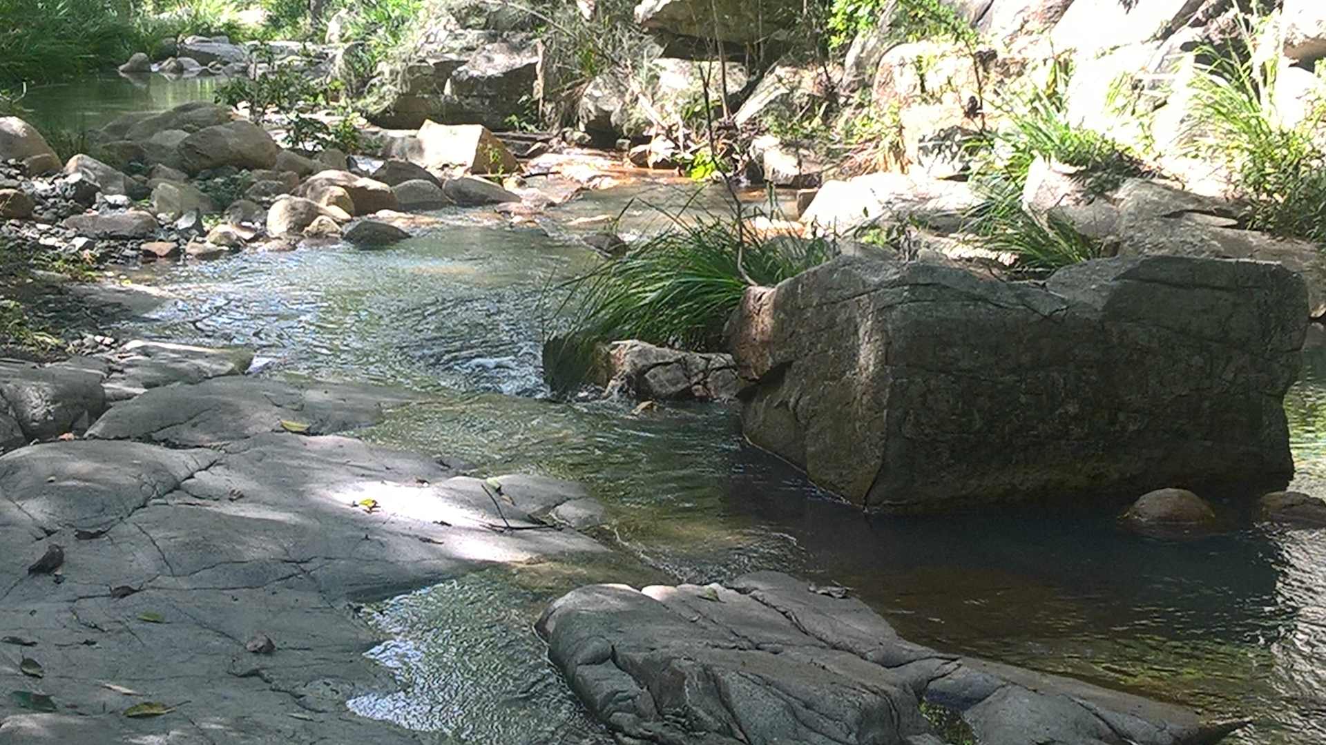 Picture of the Land