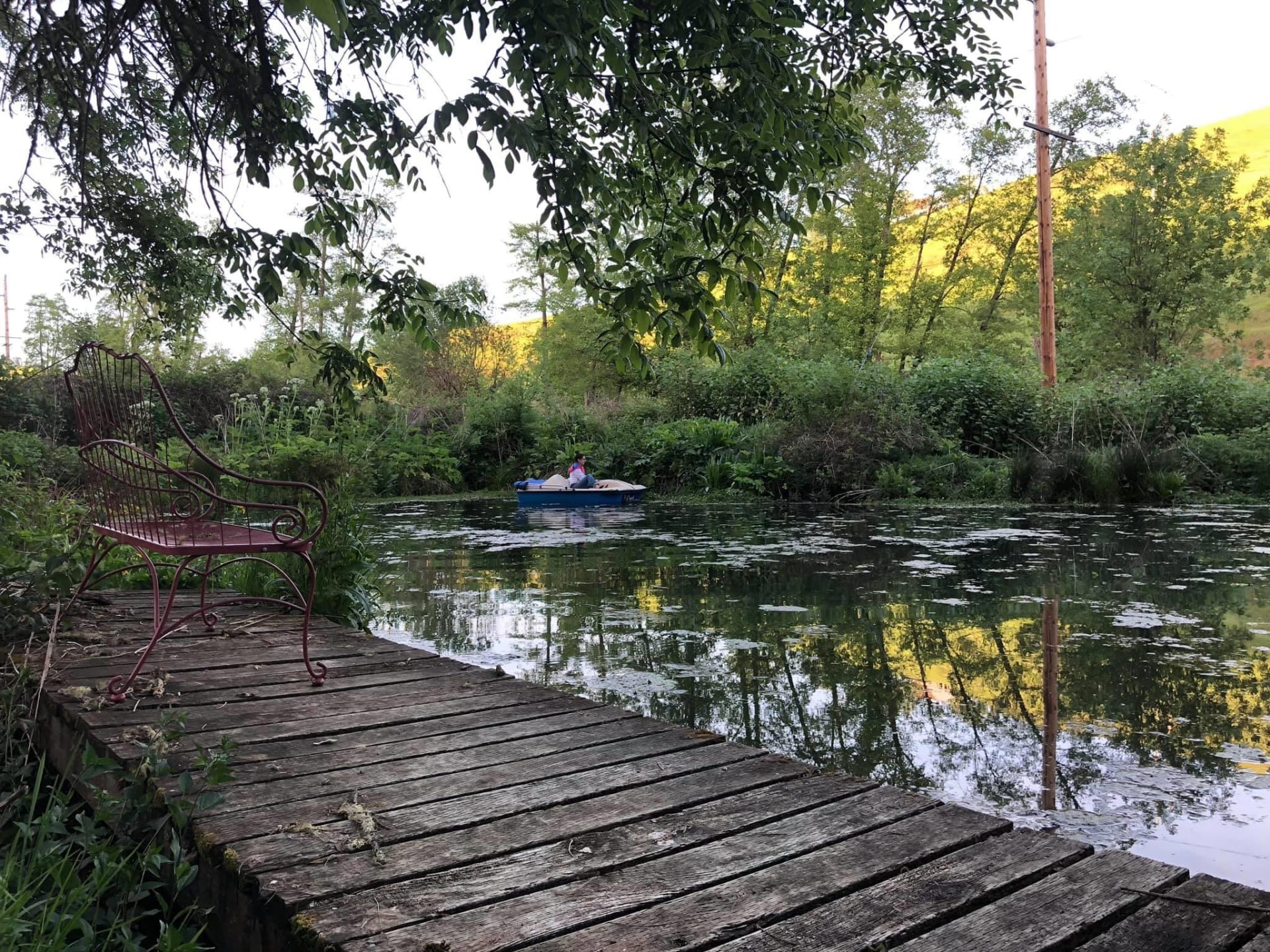 Private pond with bridge