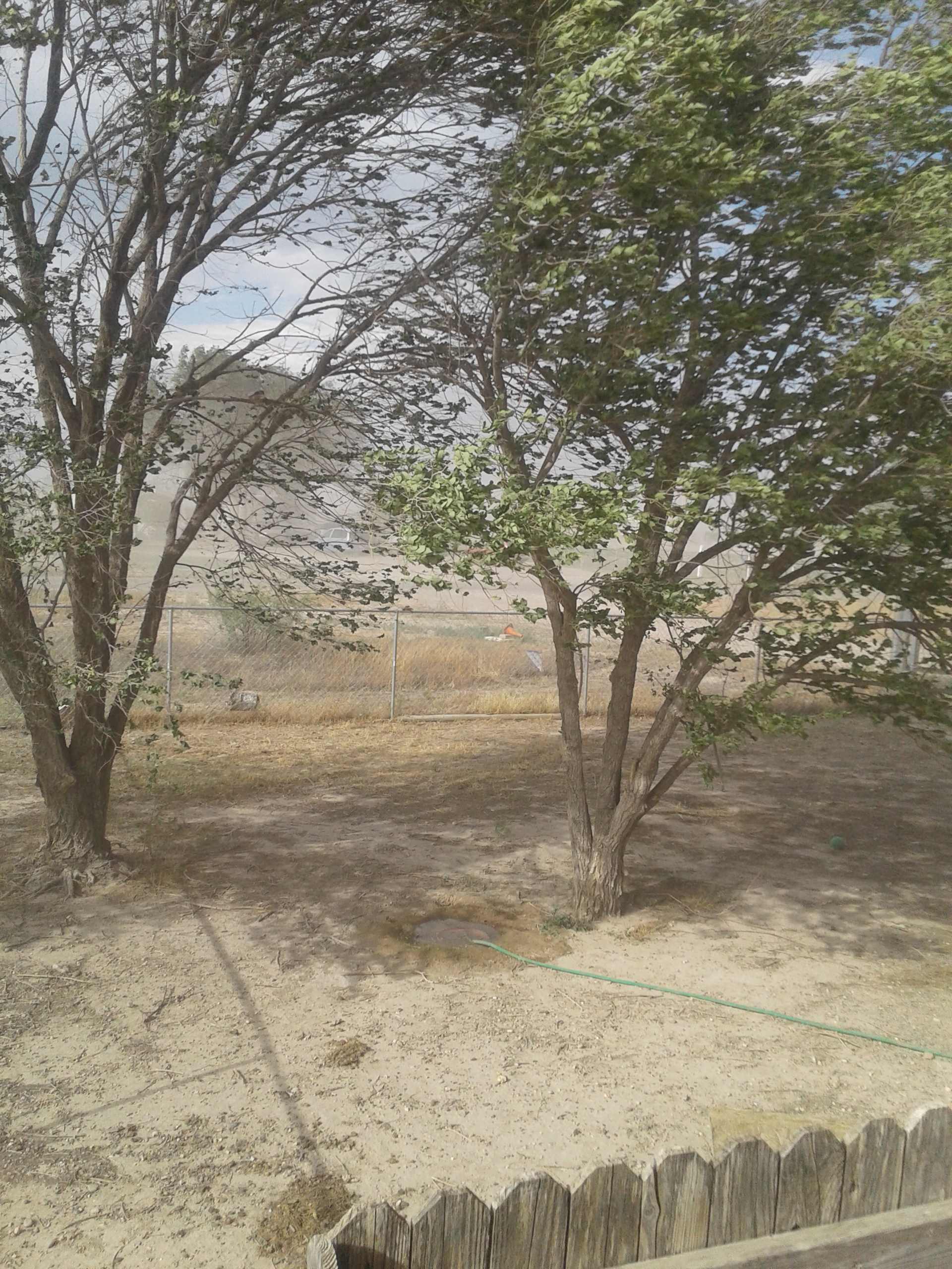Picture of the Land