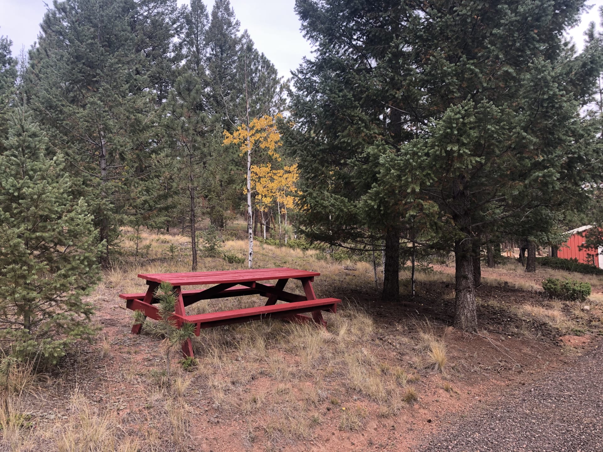 Picnic table at campsite.