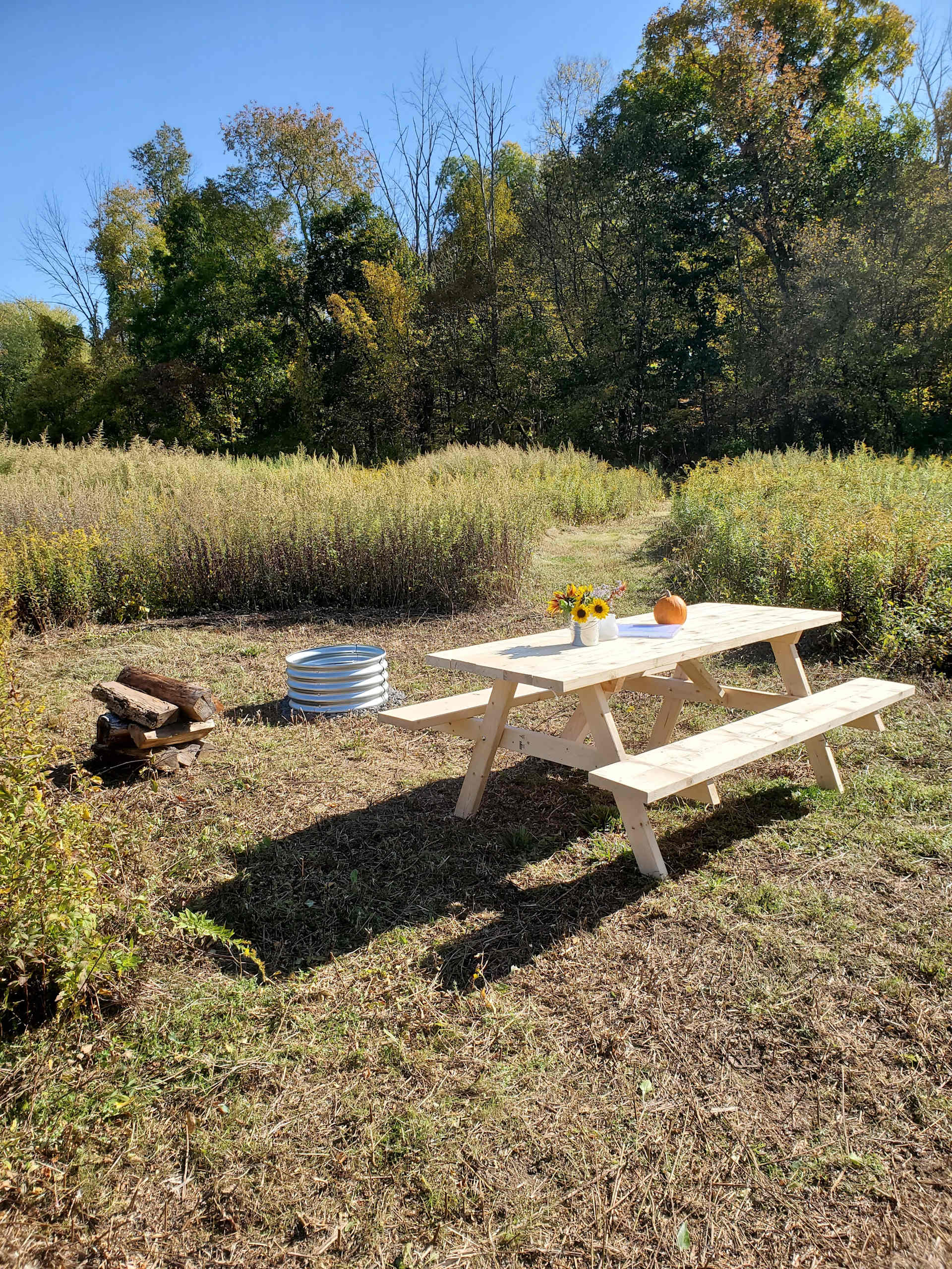 Picture of the Land