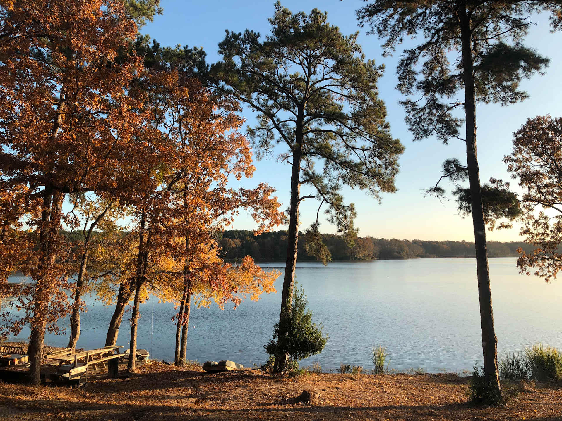 More Fall colors.