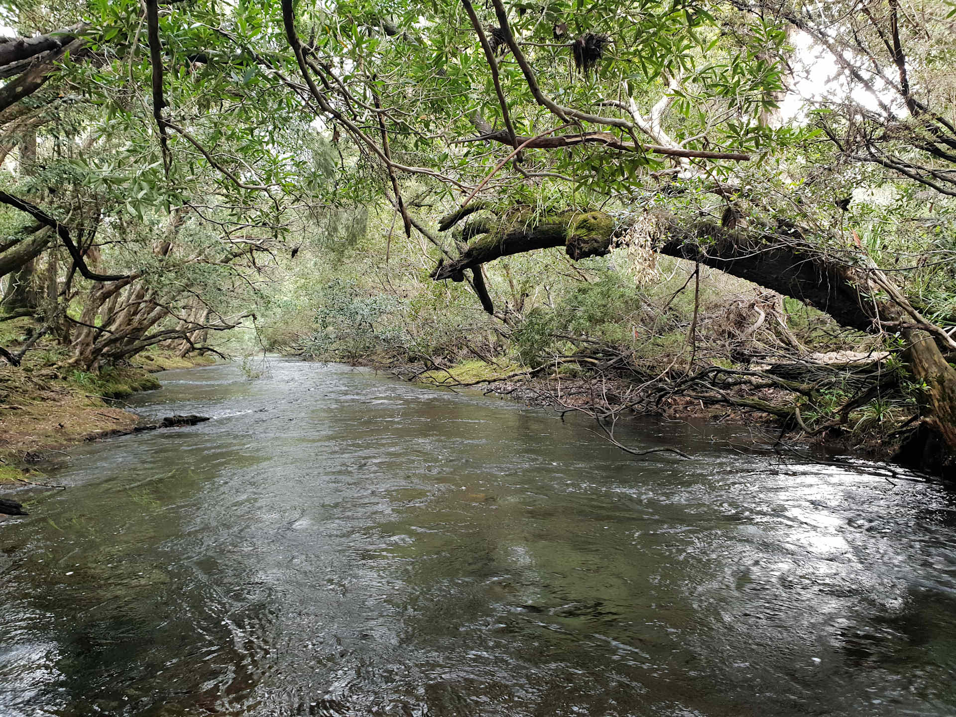 Picture of the Land