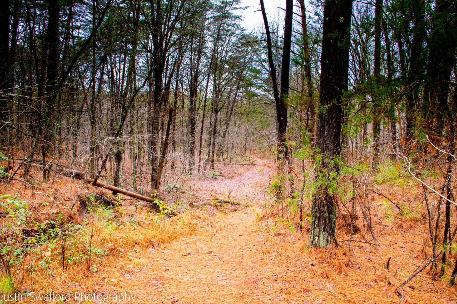 Long Branch Campground, Center Hill Lake, TN: 1 Hipcamper Review