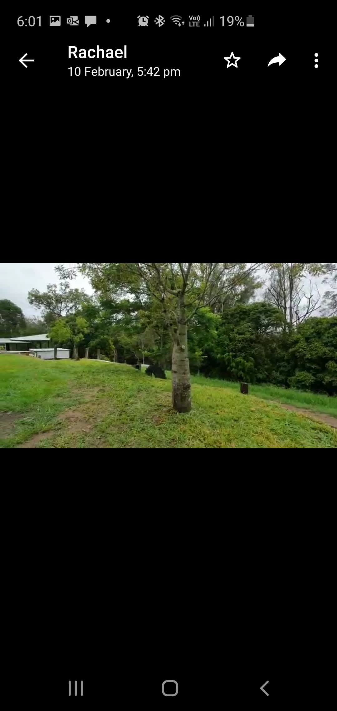 Creek and Tree Bliss - Photo 2