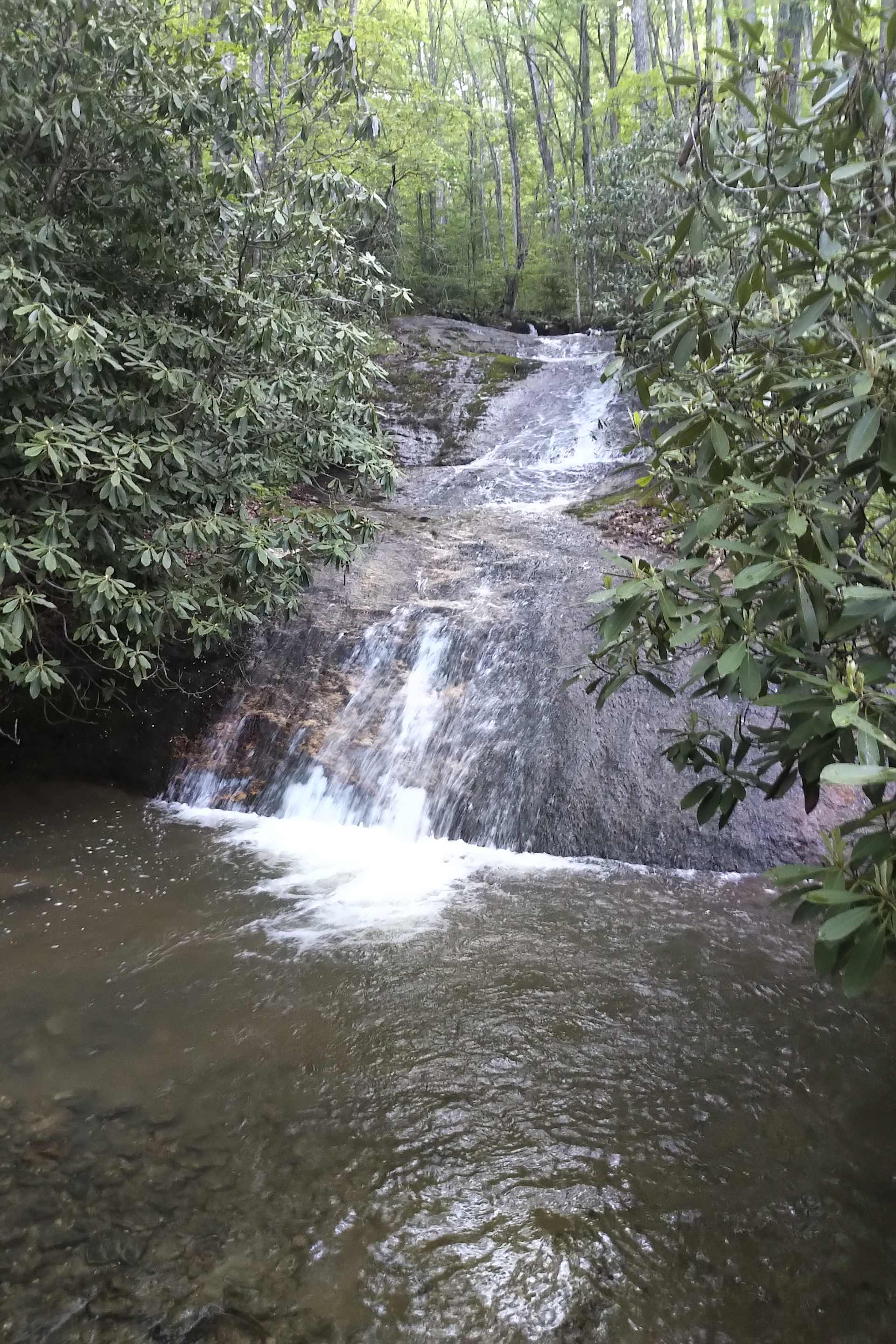 Plumtree Campground Tent Loop - Photo 3
