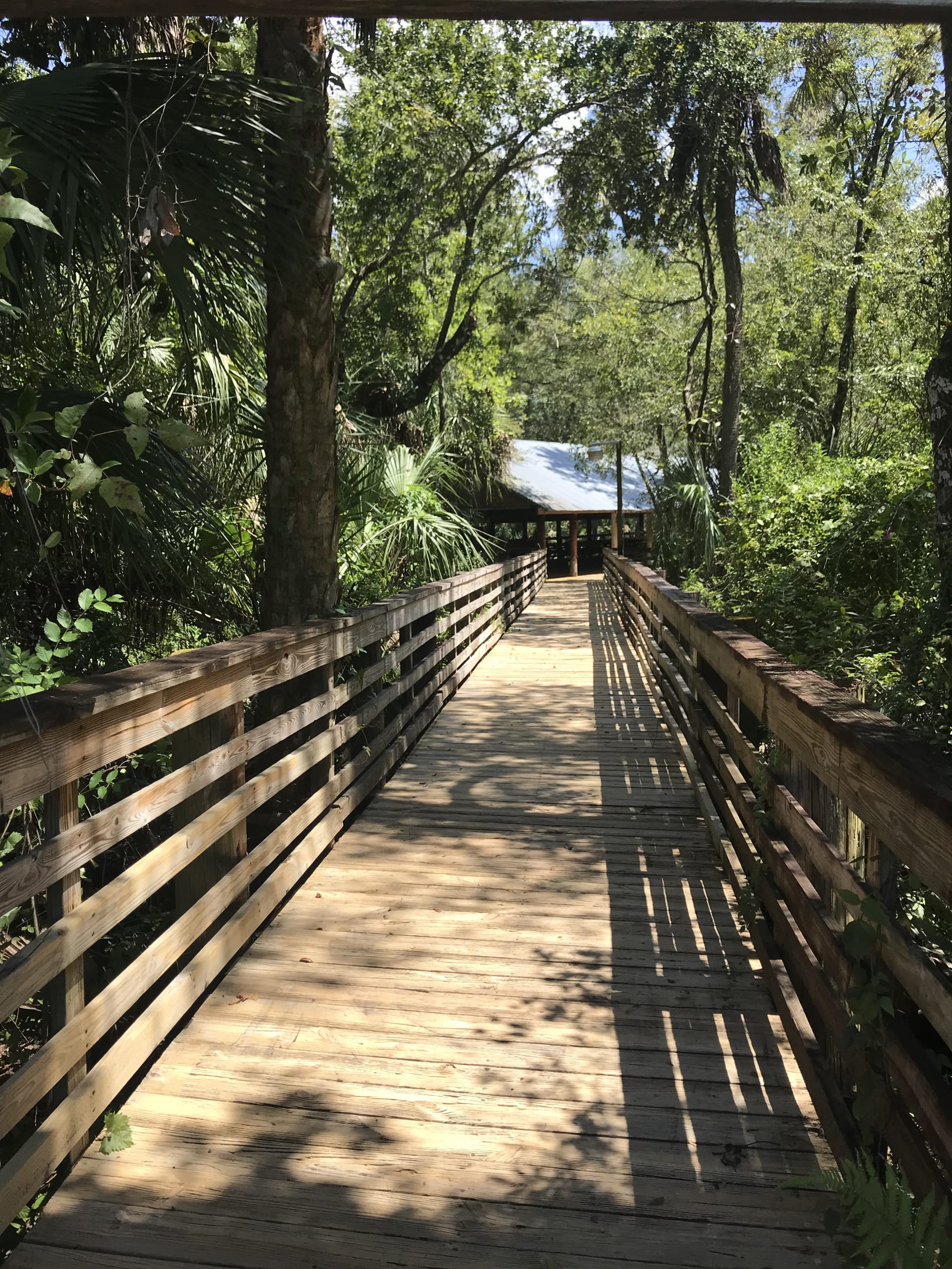 A boardwalk leads you to the pavilions along the Cotee River.