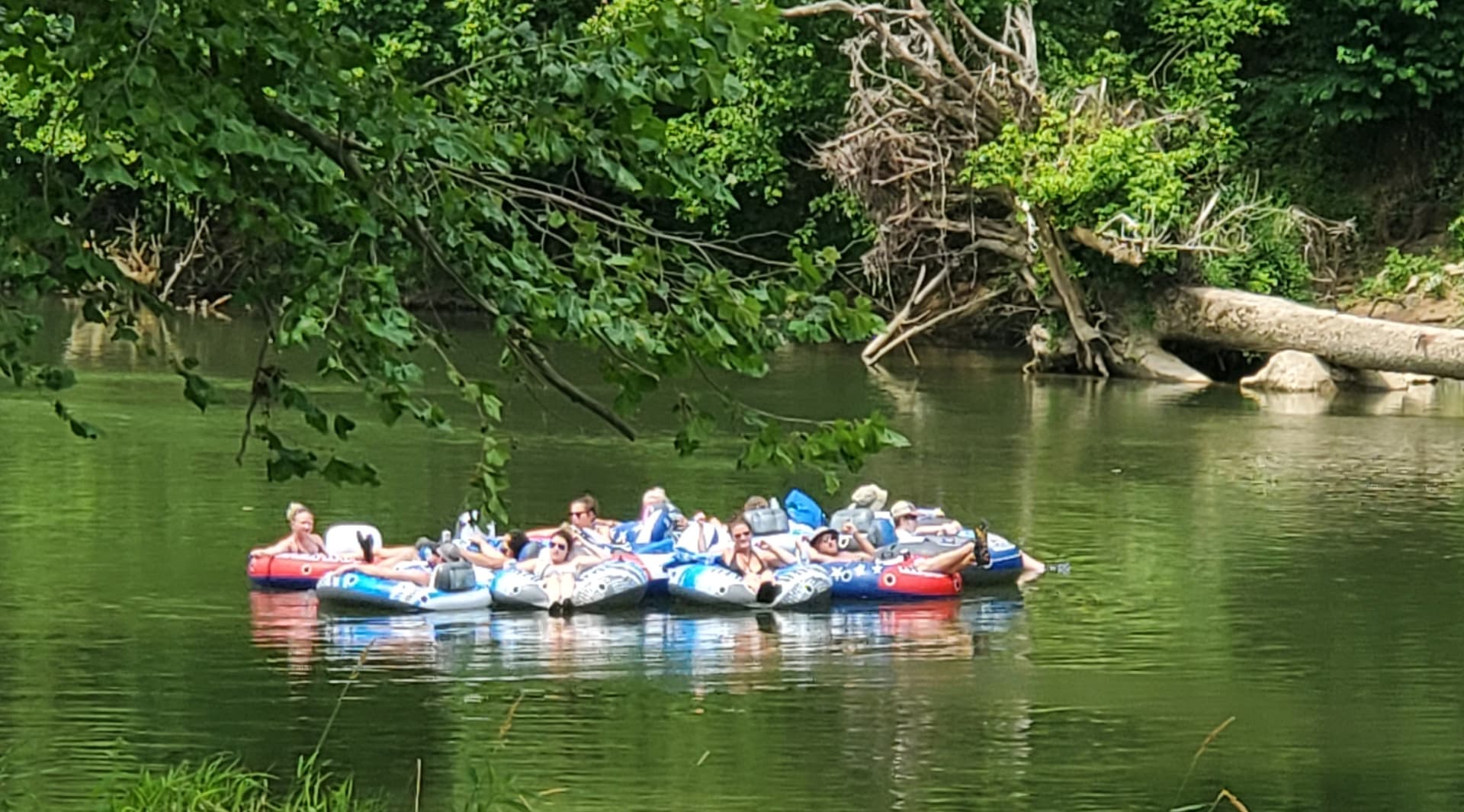 Clinch River Family Campground Camping