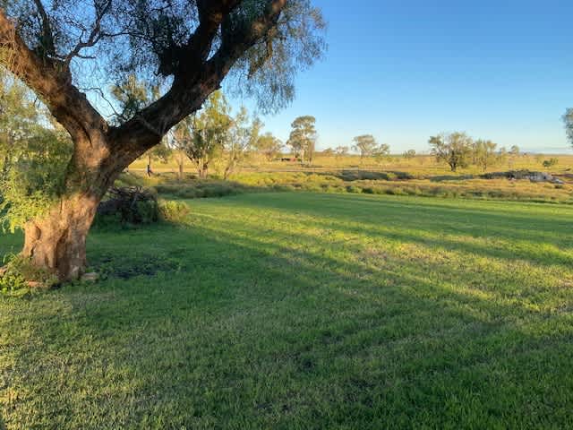 Picture of the Land