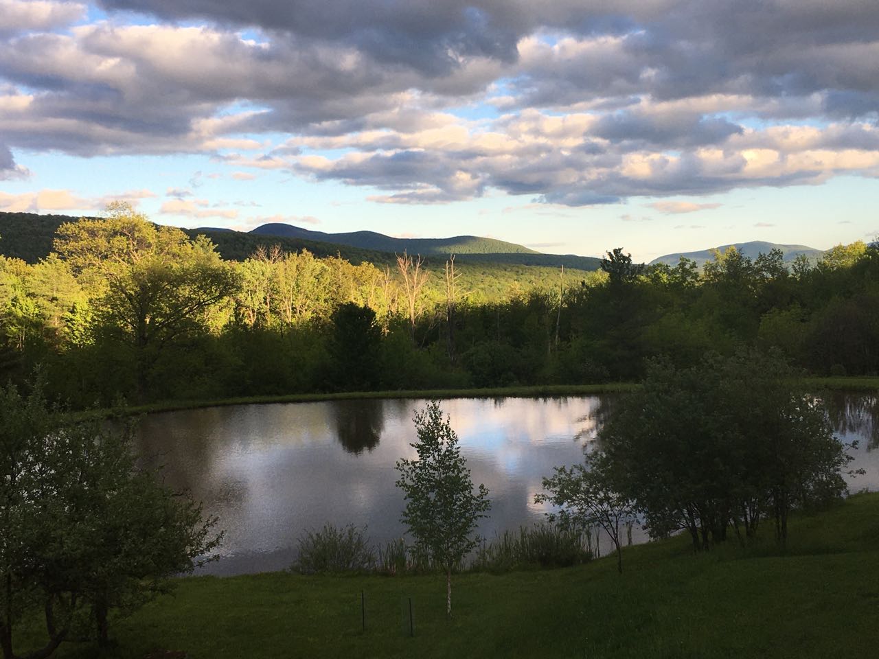 The Swim Pond at Olin Springs - Hipcamp in Mount Vision, New York