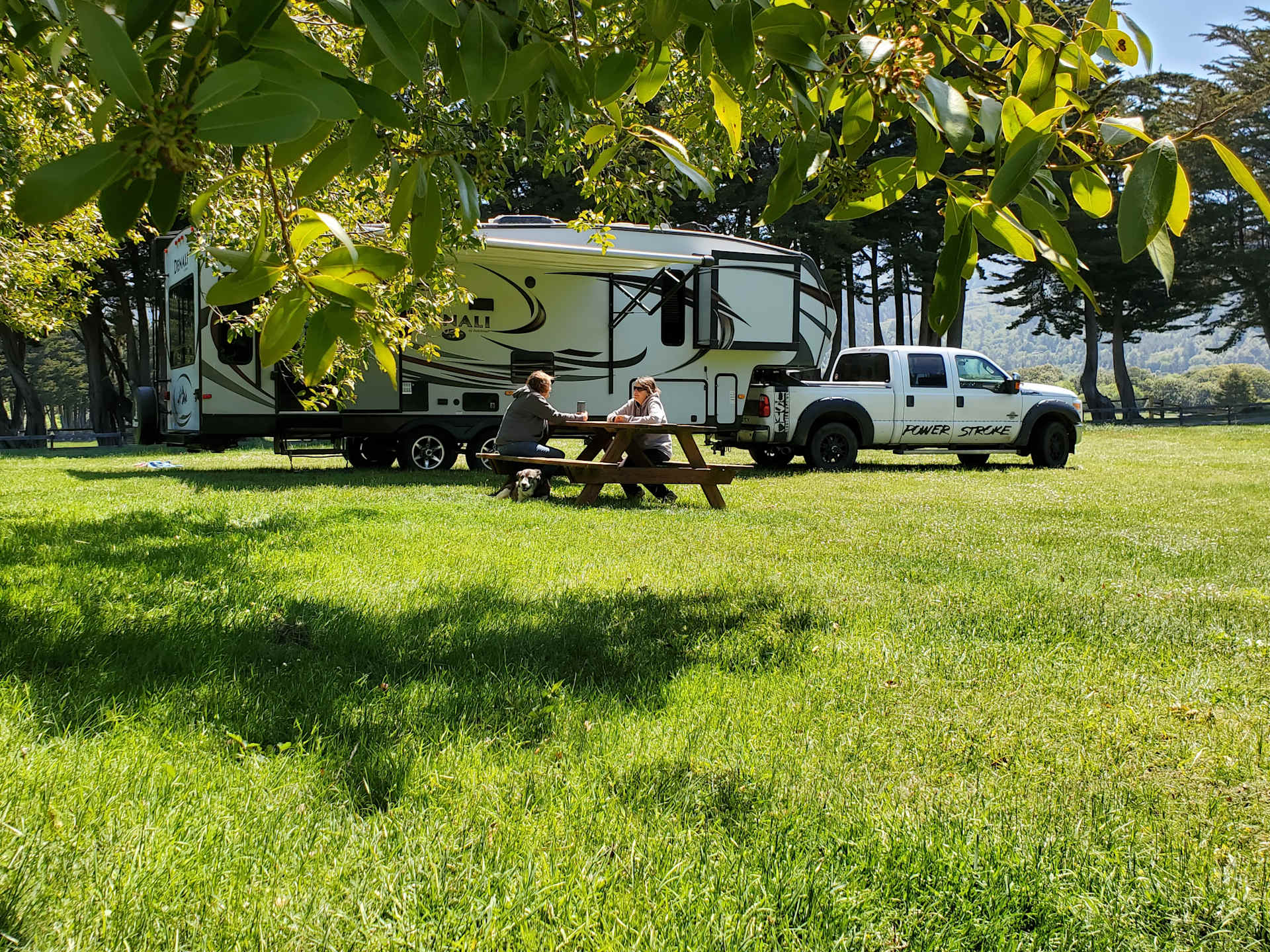 Discover the 39 best beach campgrounds near Reedsport, Oregon