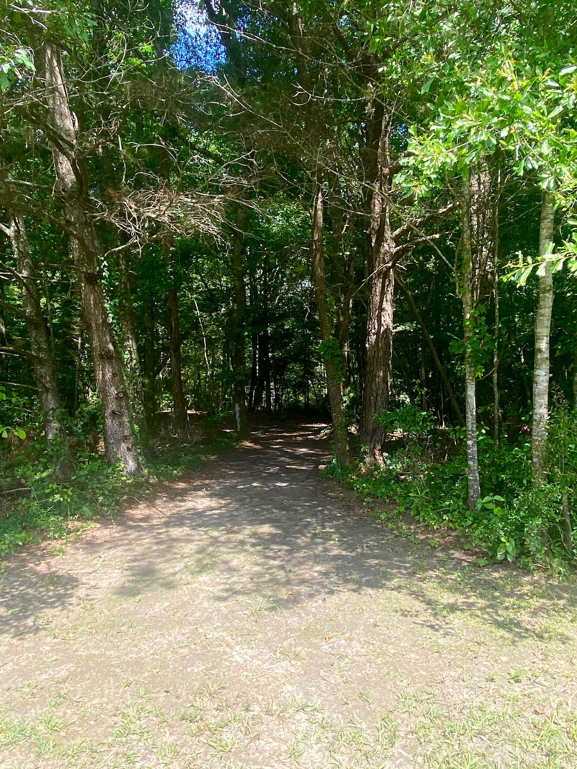 Entrance to Duck Pond Overlook from the pasture.