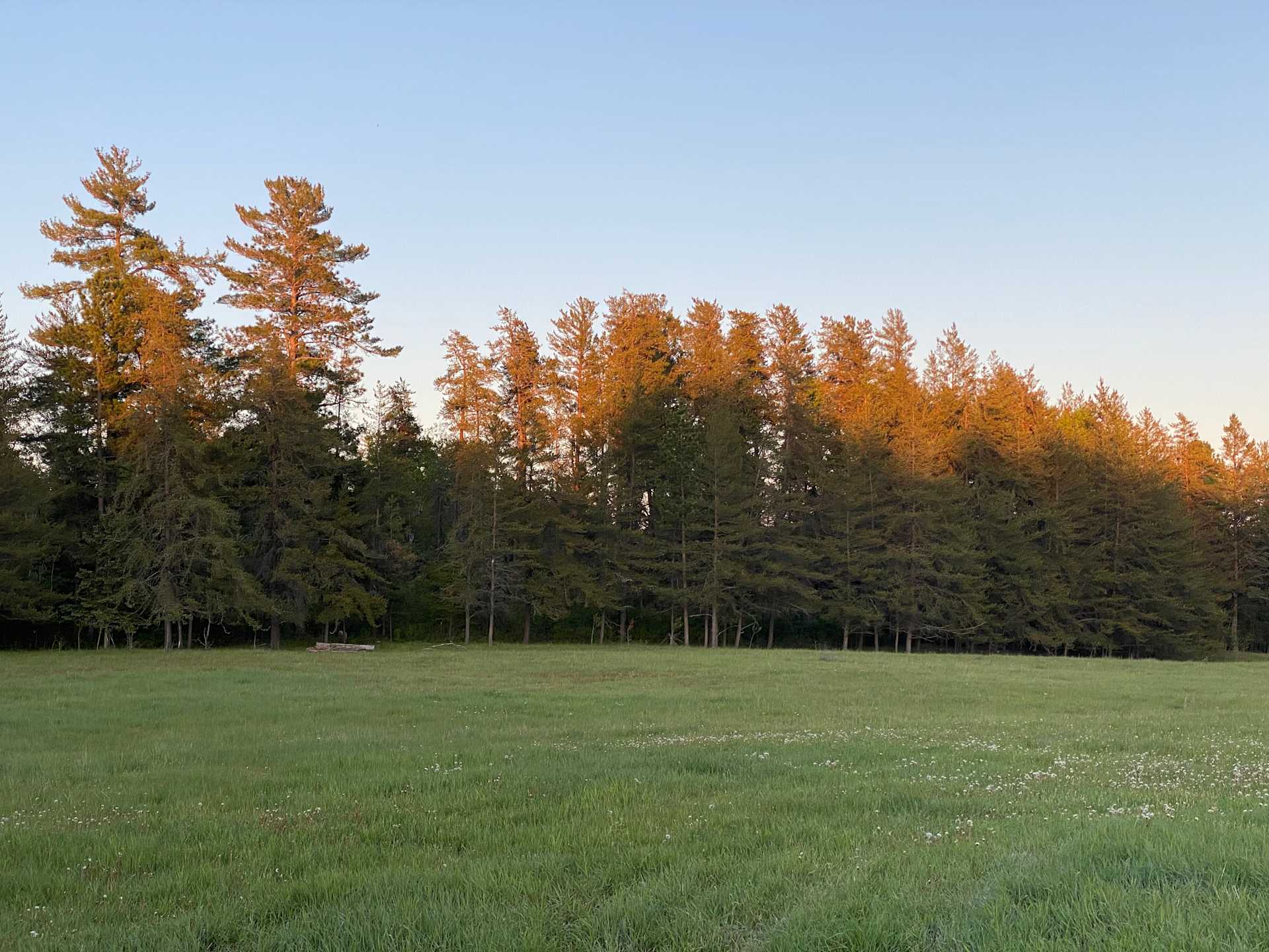 Picture of the Land