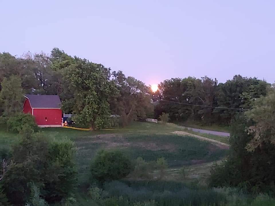 This is the view across our field to our neighbor.  We just love the red barn.  It seems to complete the farm picture.