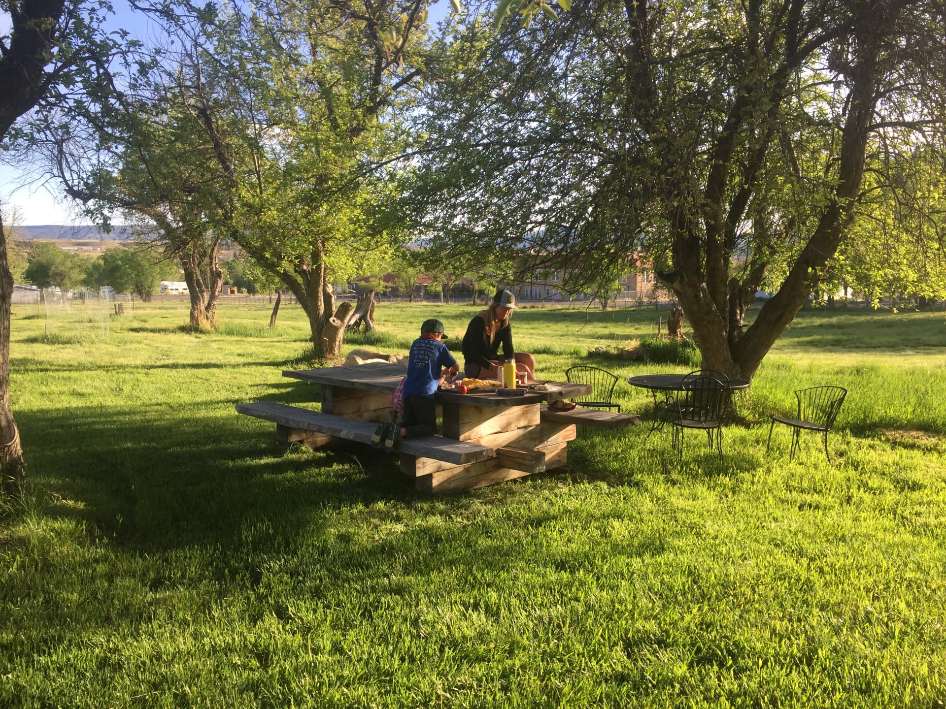 Large Picnic table in the old heirloom orchard!