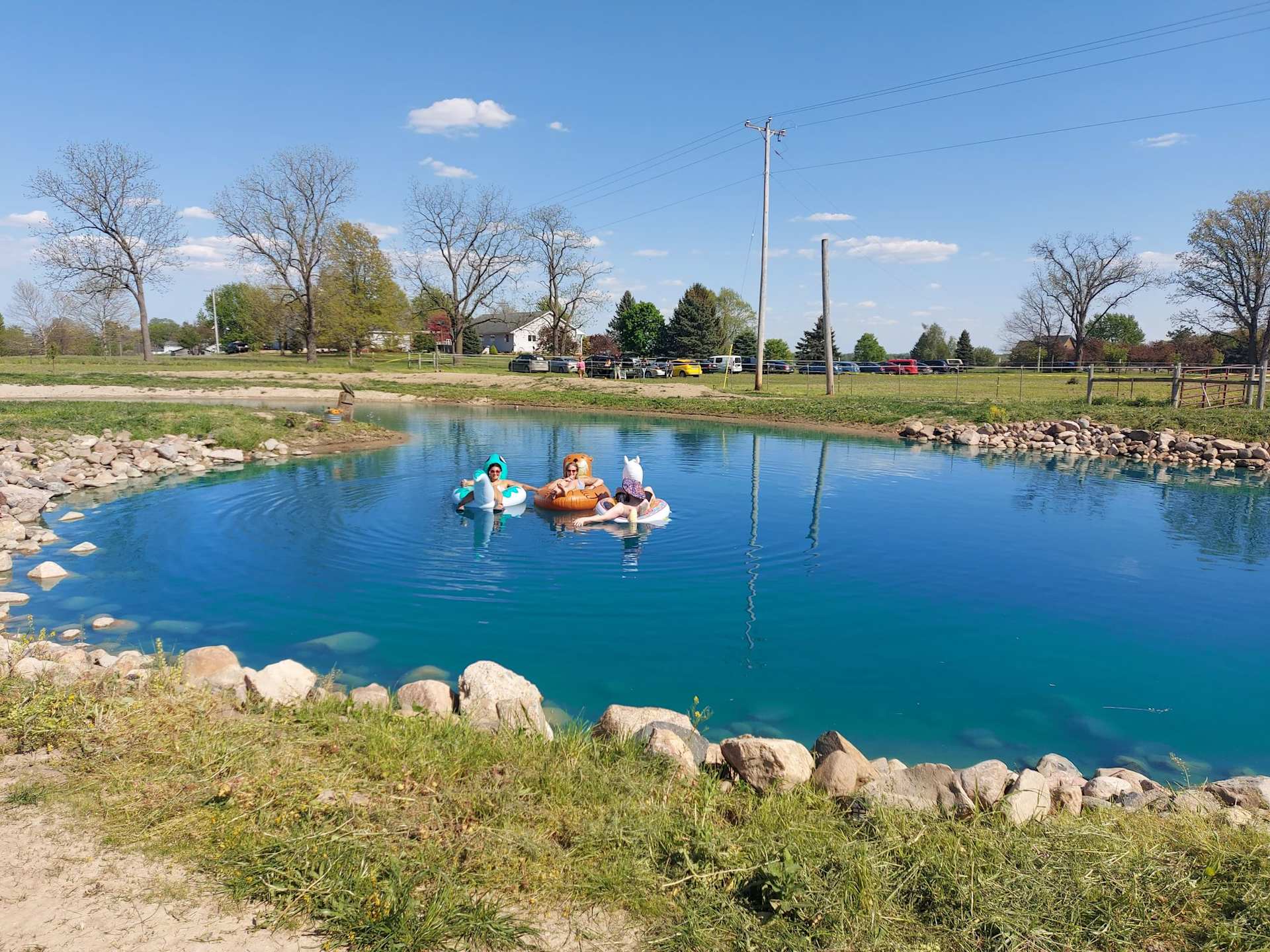 Hot day in the pond with friends.