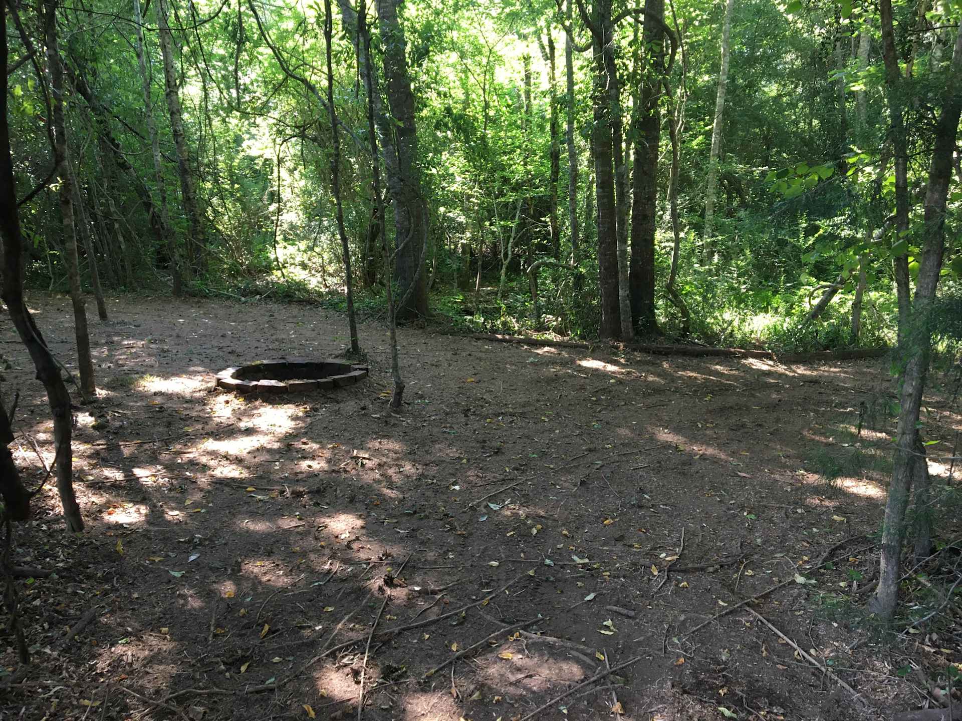 Site 2: Easy access with super short walk in. Park within yards of your campsite. Path to creek.