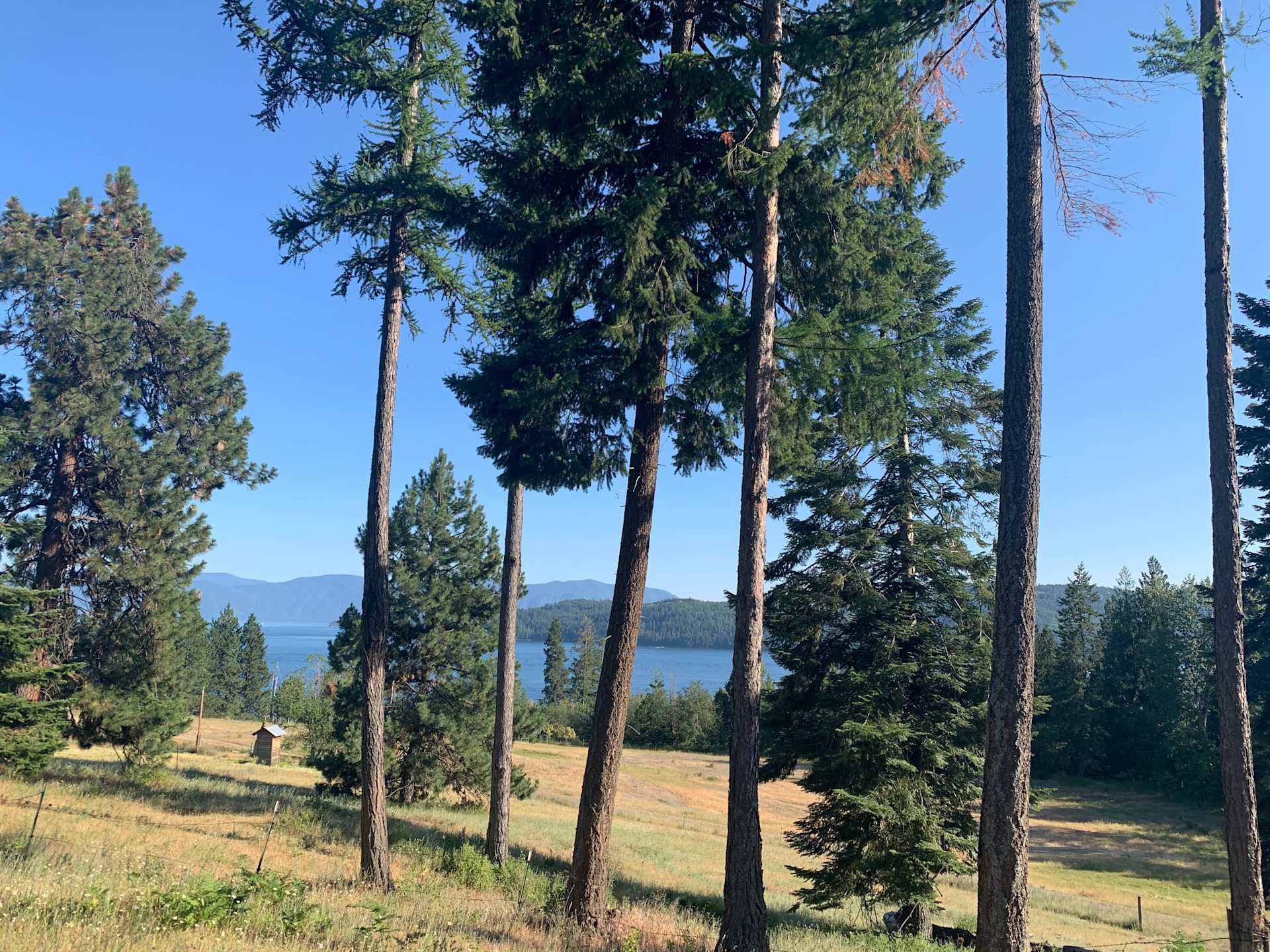 Picture of the Land