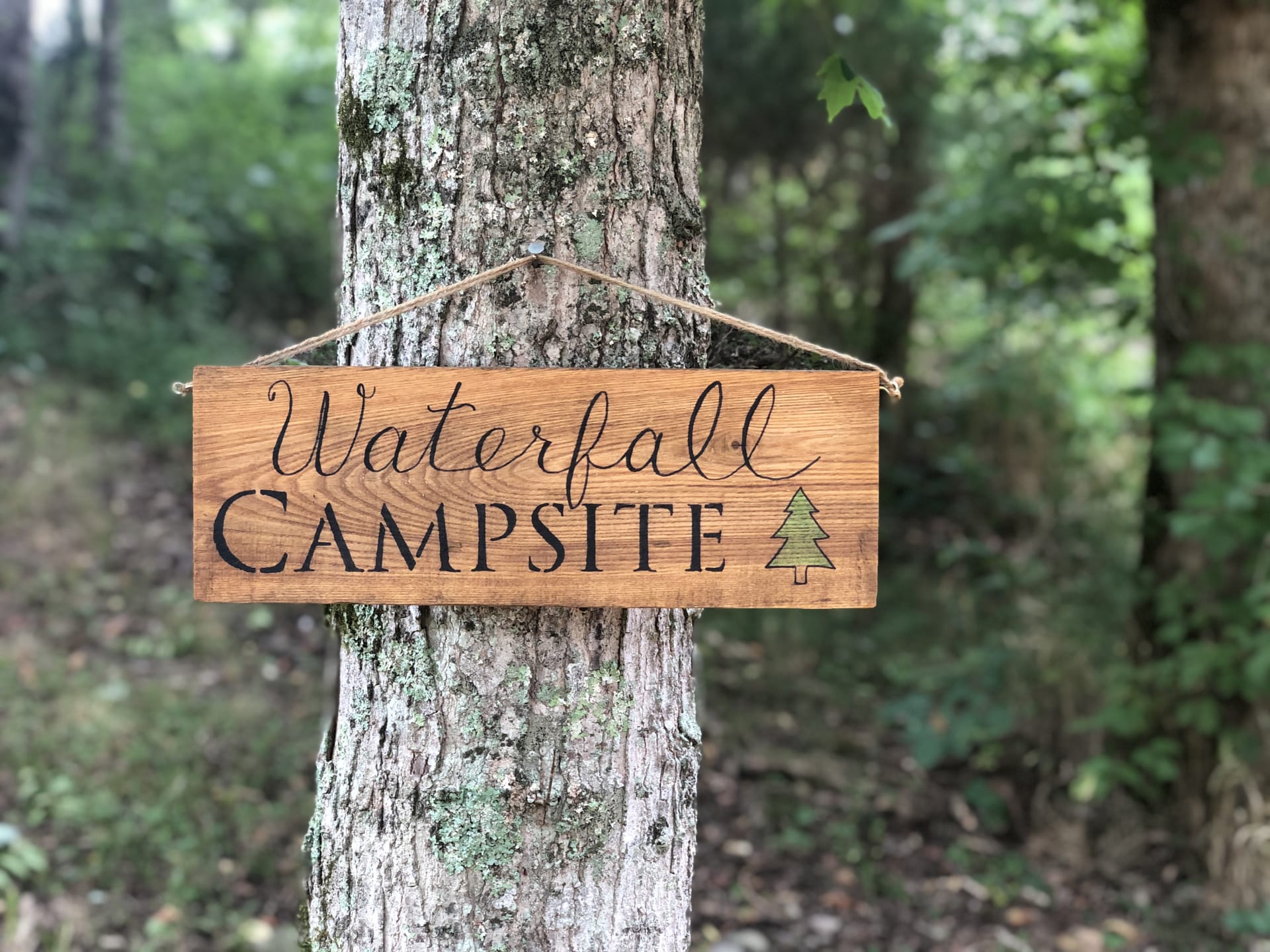 Waterfall Campsite is a great place to make wonderful memories!