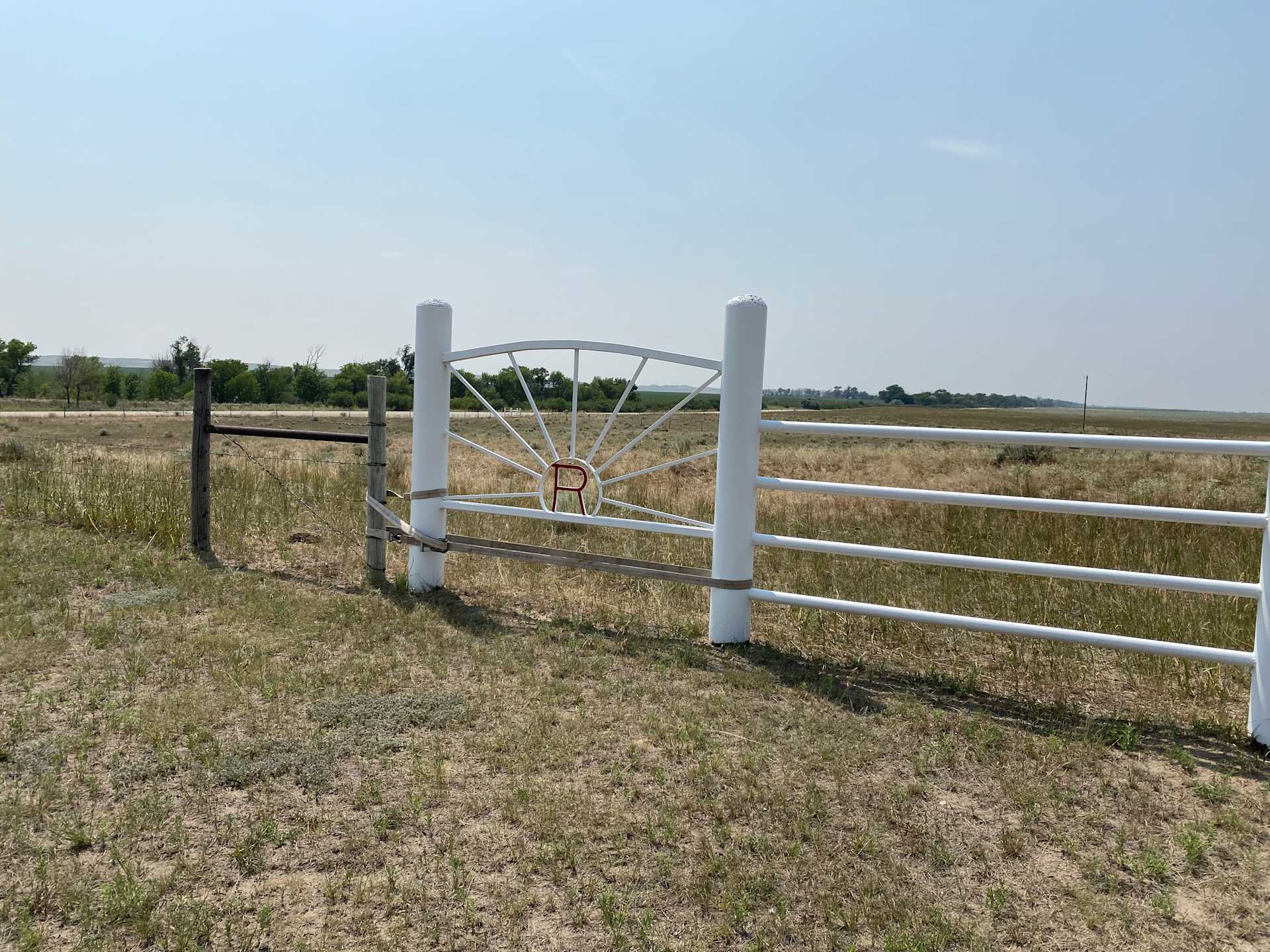 Picture of the Land