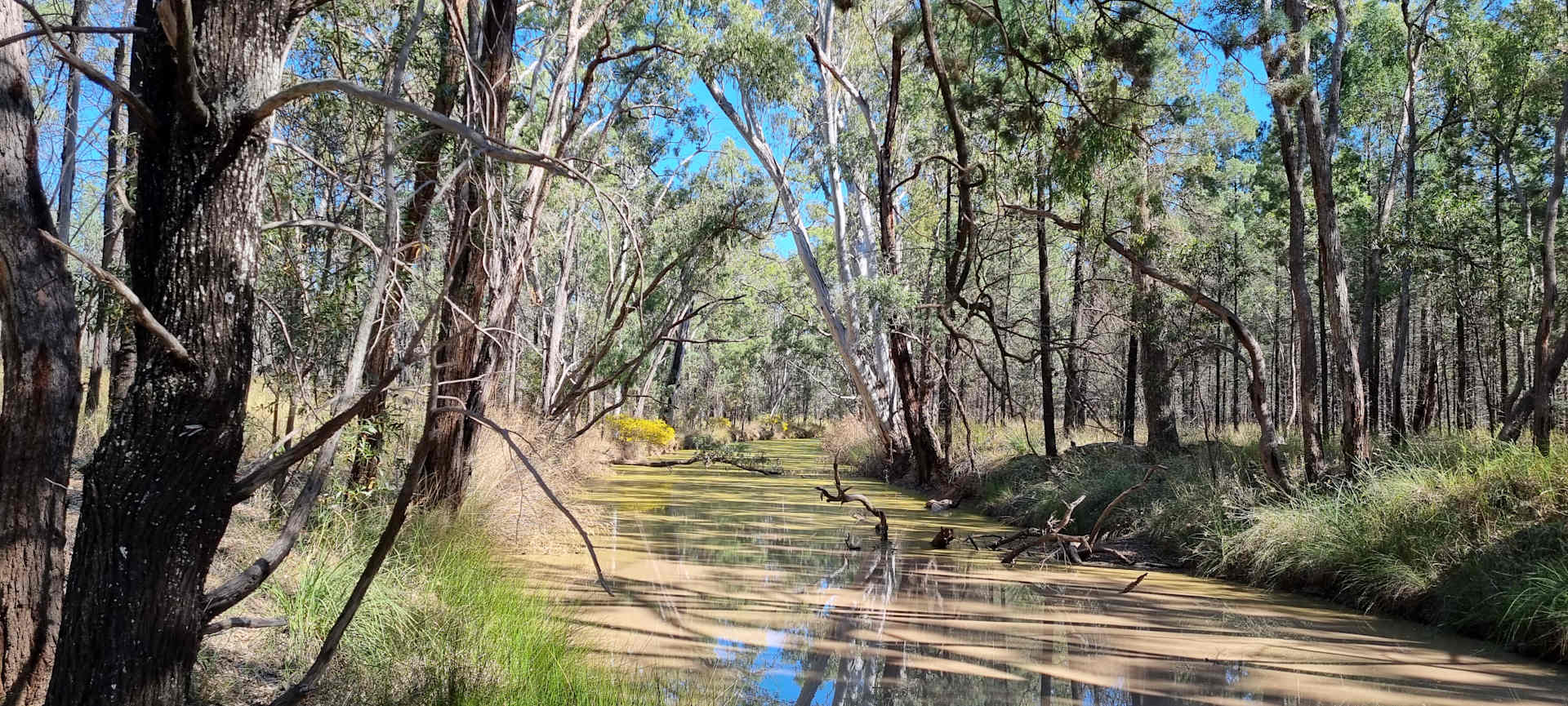 Discover the 3 best campgrounds near Mitchell, Queensland with wifi ...