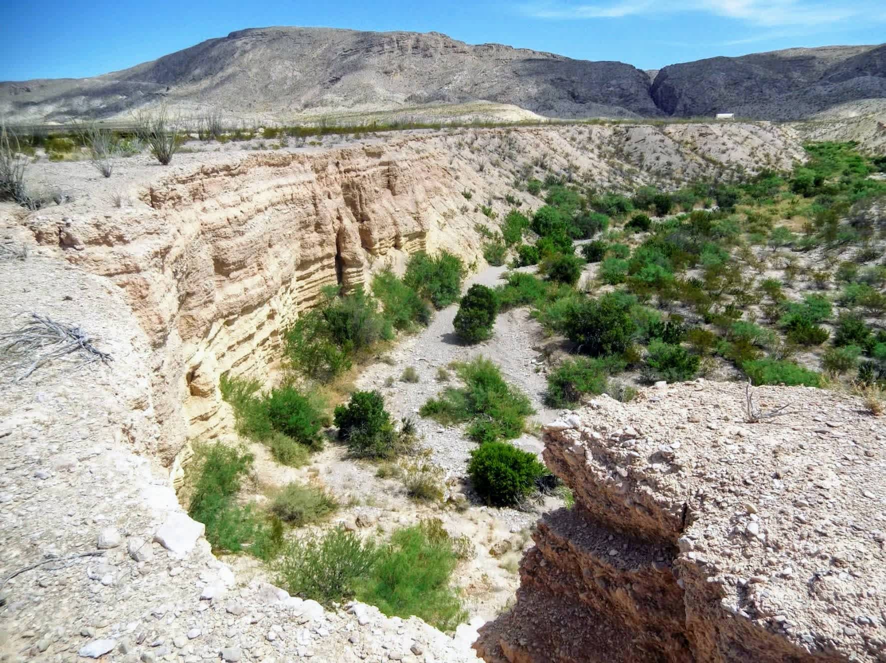 Picture of the Land