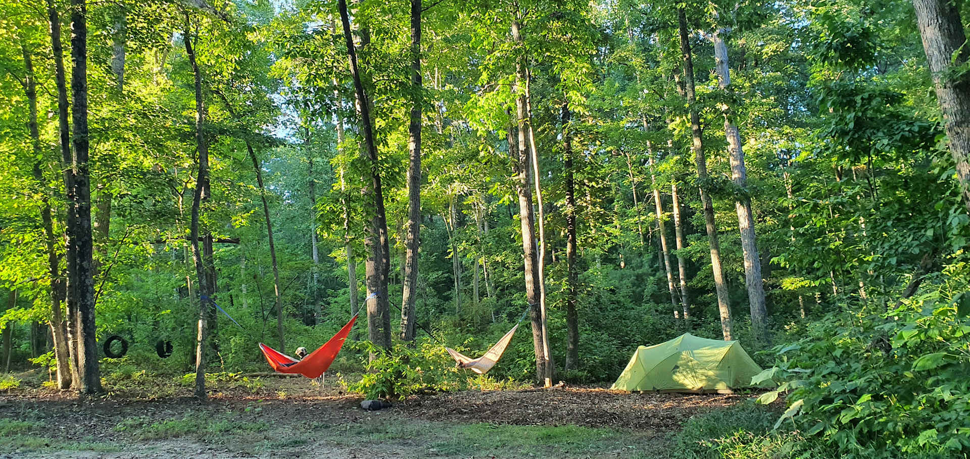 Tranquil Toggle - Photo 3