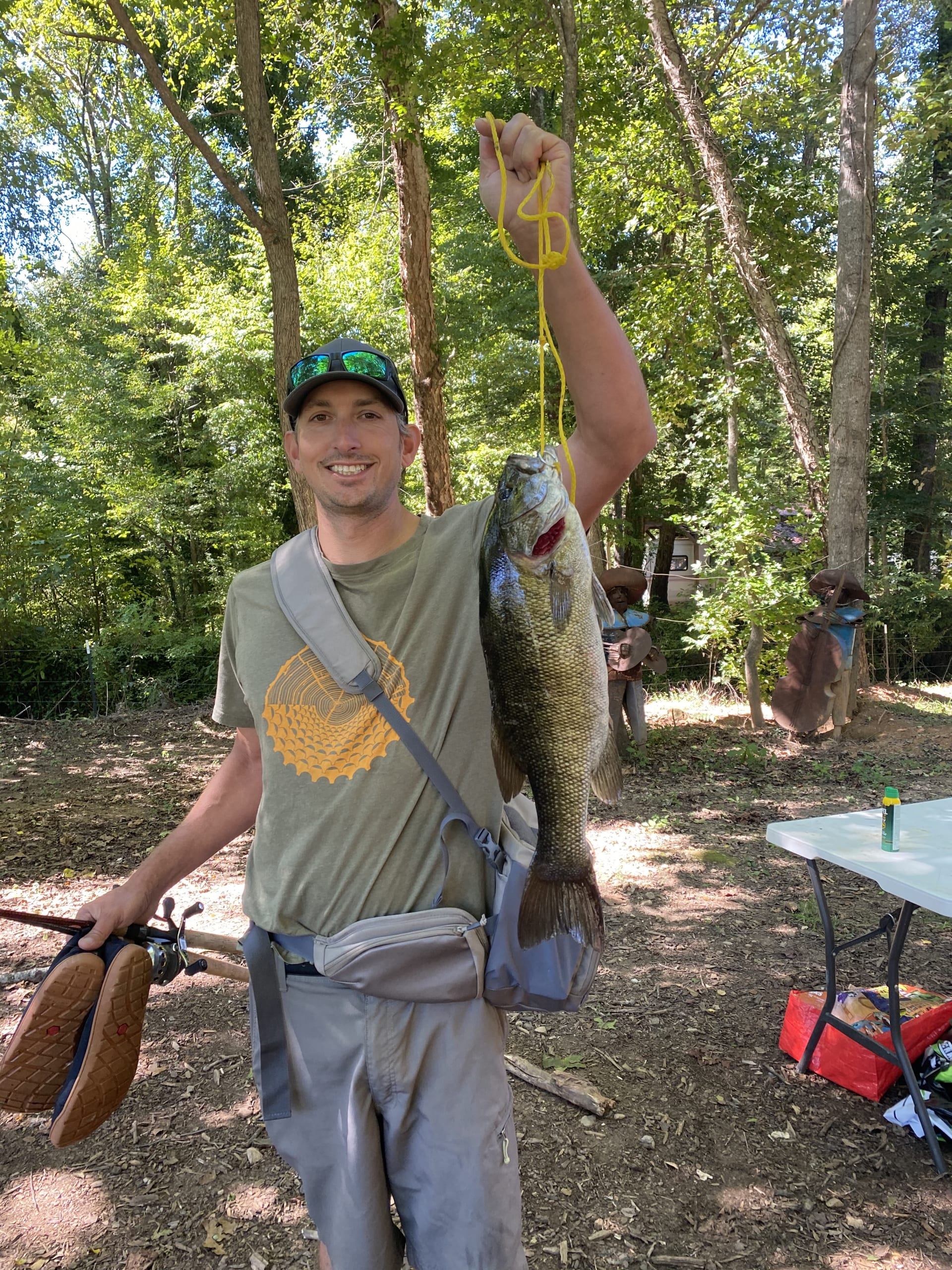 Watauga Lake Bass Fishing  Glide bait fishing in summer 