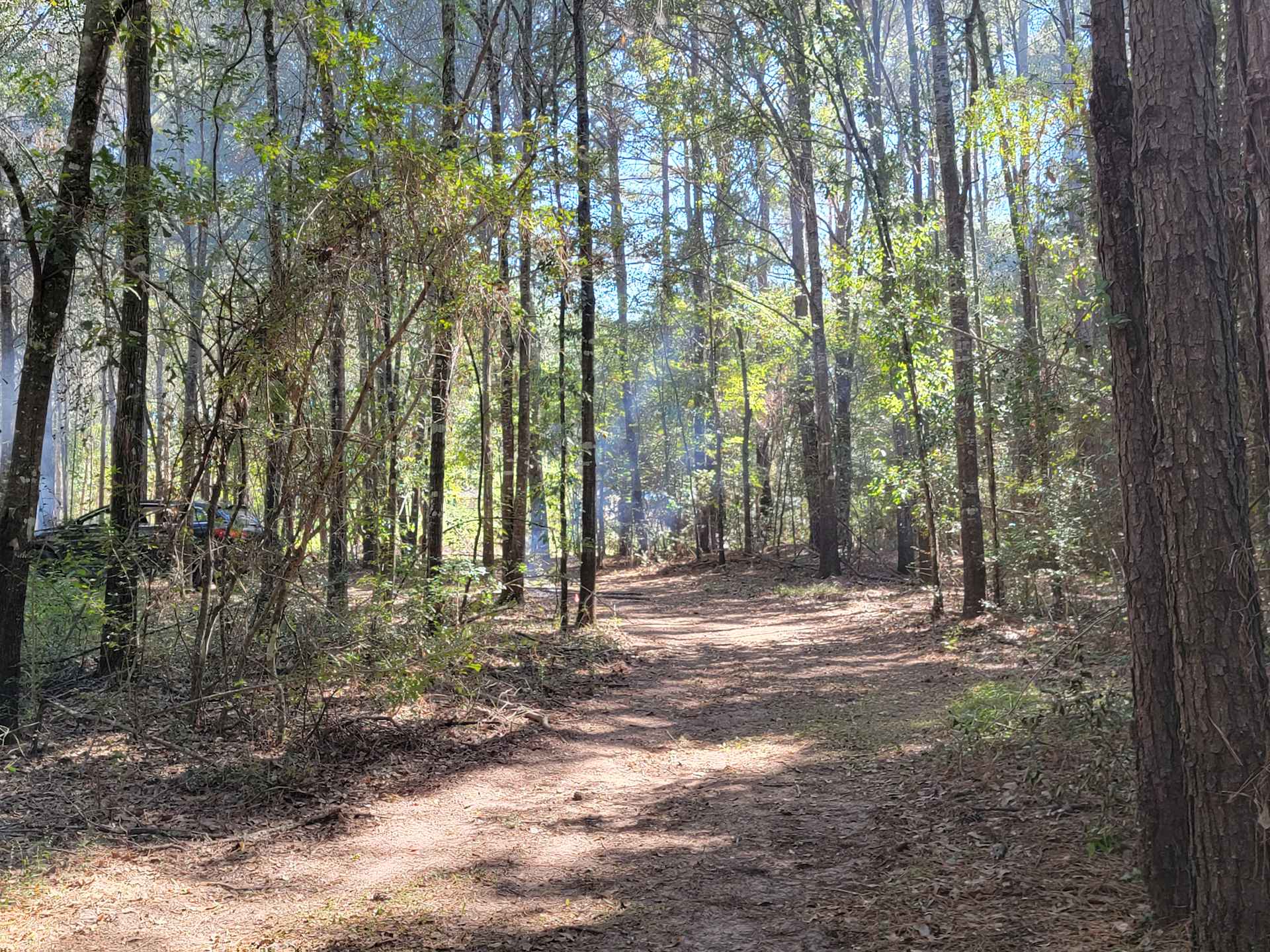 Picture of the Land