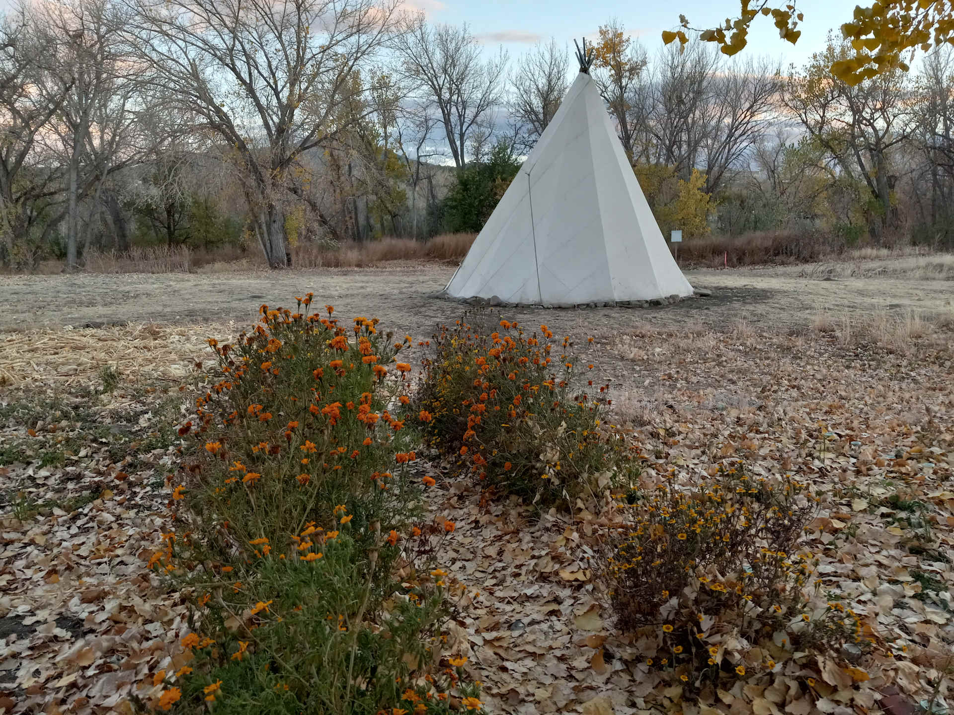 Picture of the Land