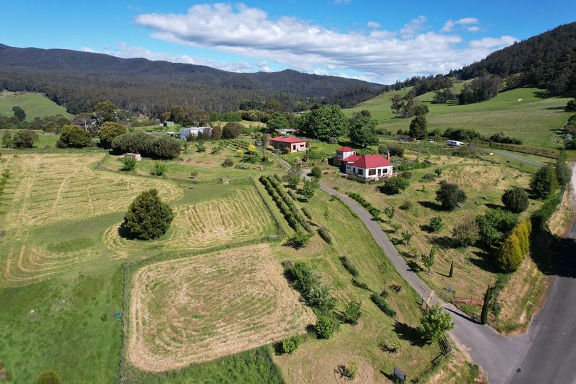Picture of the Land