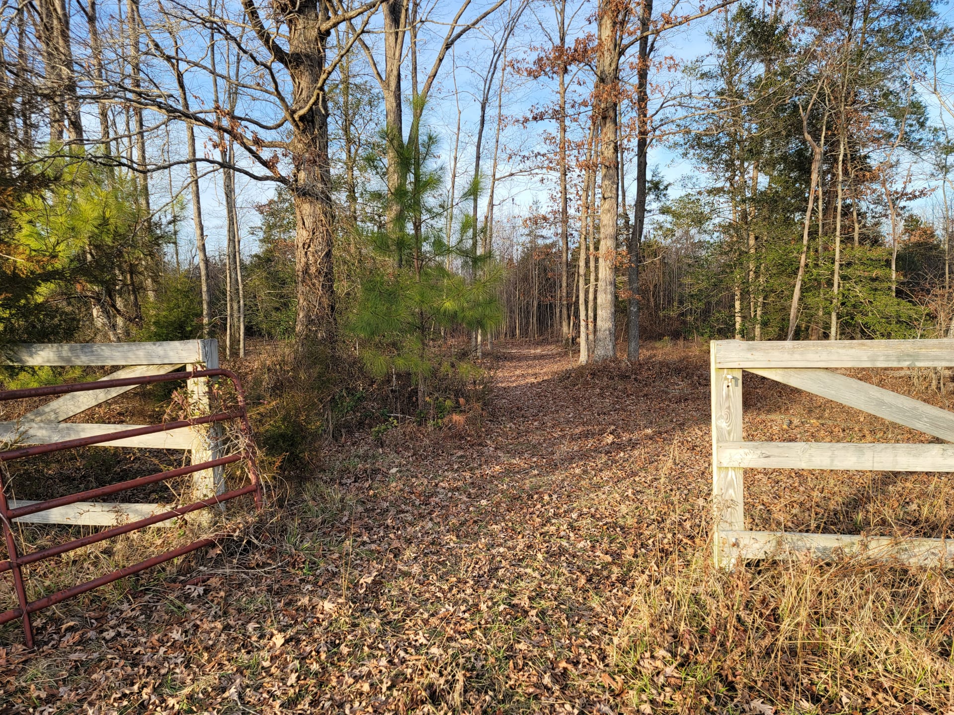 One of the cattle gates that lead into the wooded areas.