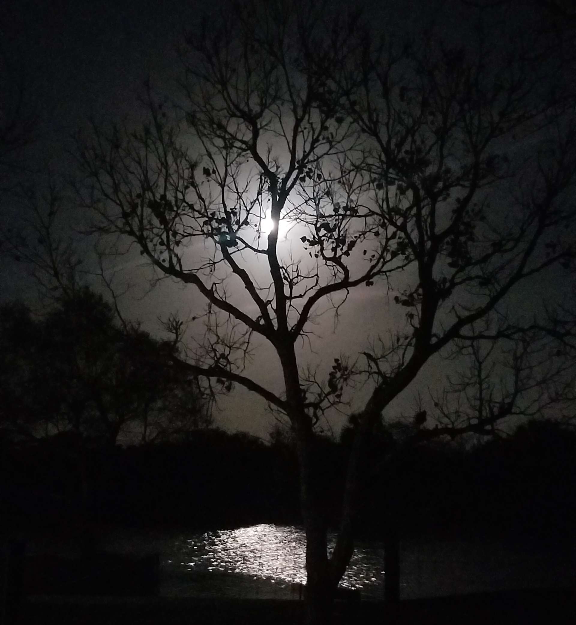 Full moon over the lake