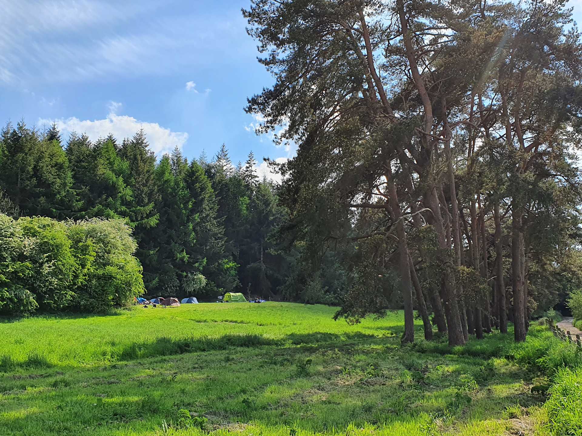 Picture of the Land