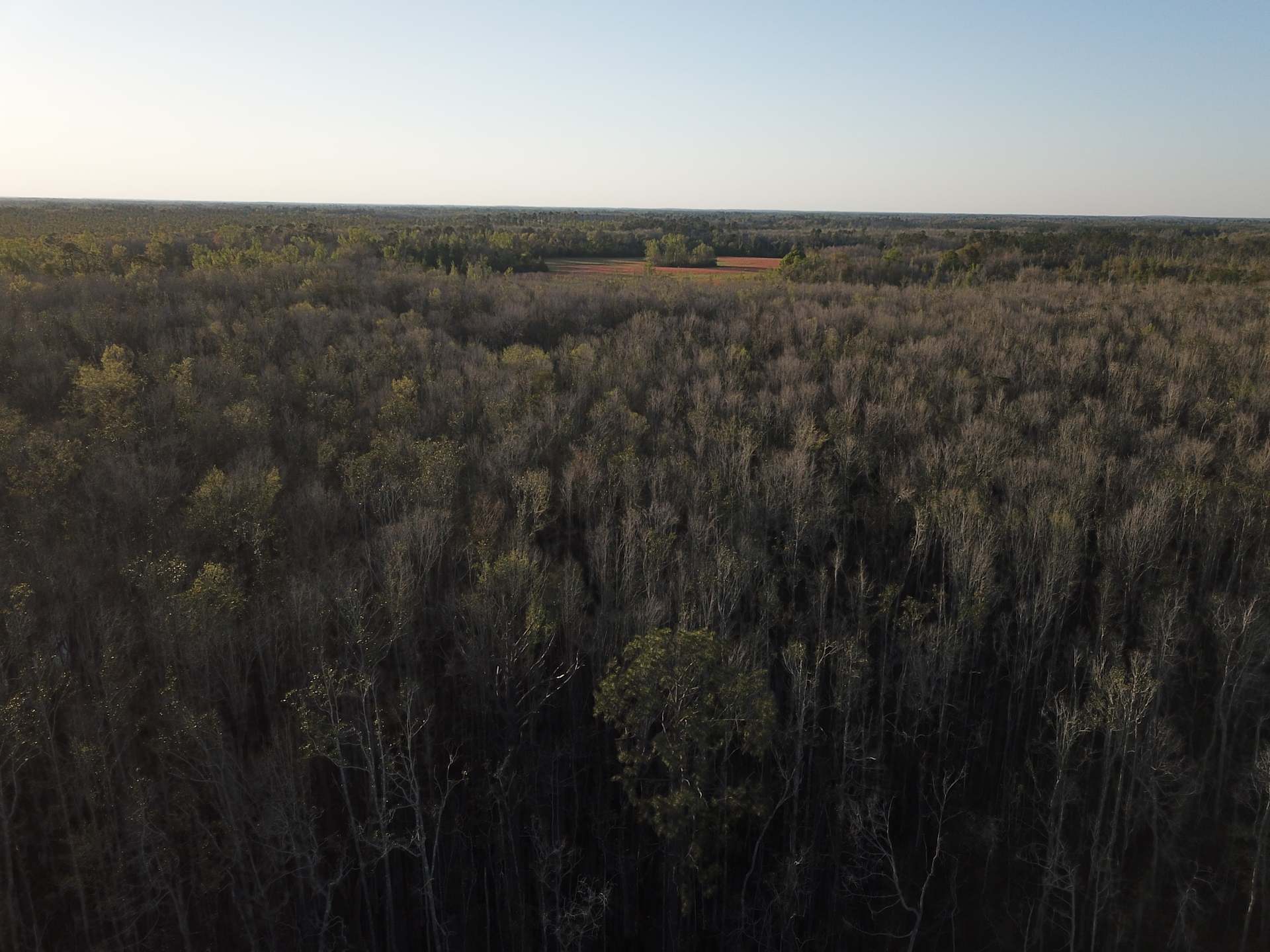 Hat Creek Farms - Photo 2