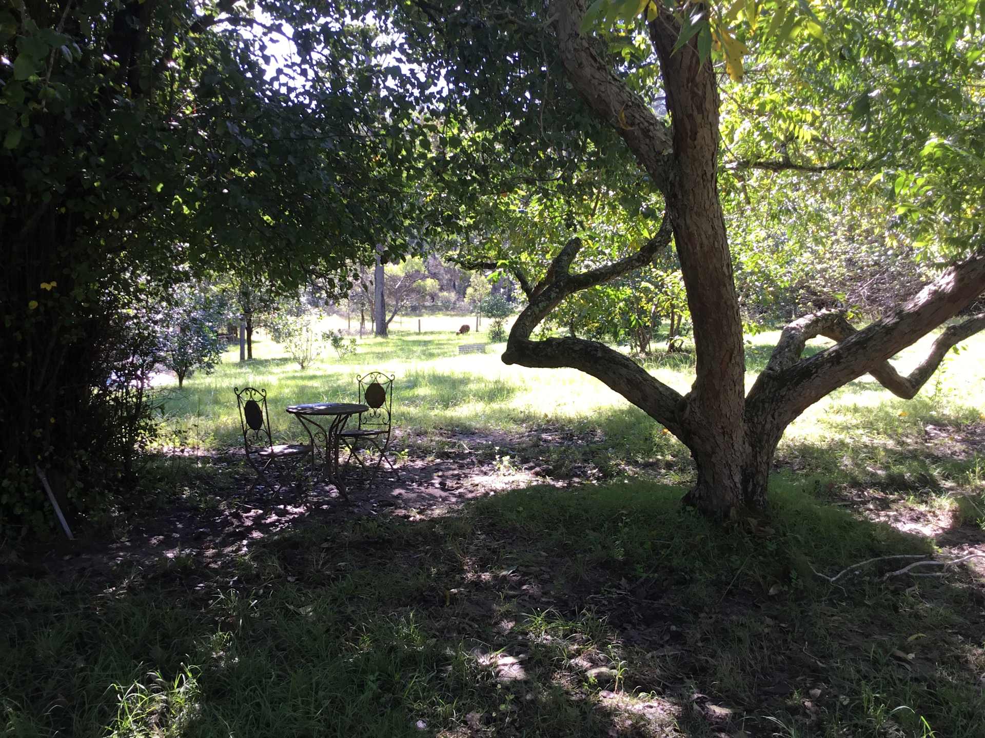Rainbow Glen - Photo 2